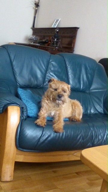 Reiver, just adorable.