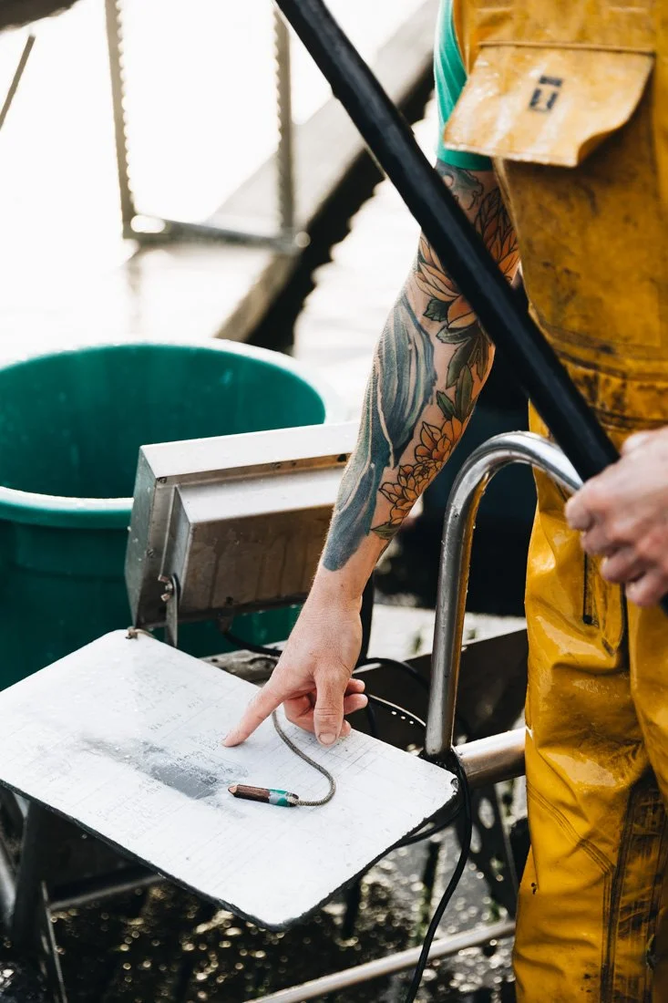 producteur de poisson - tatouage