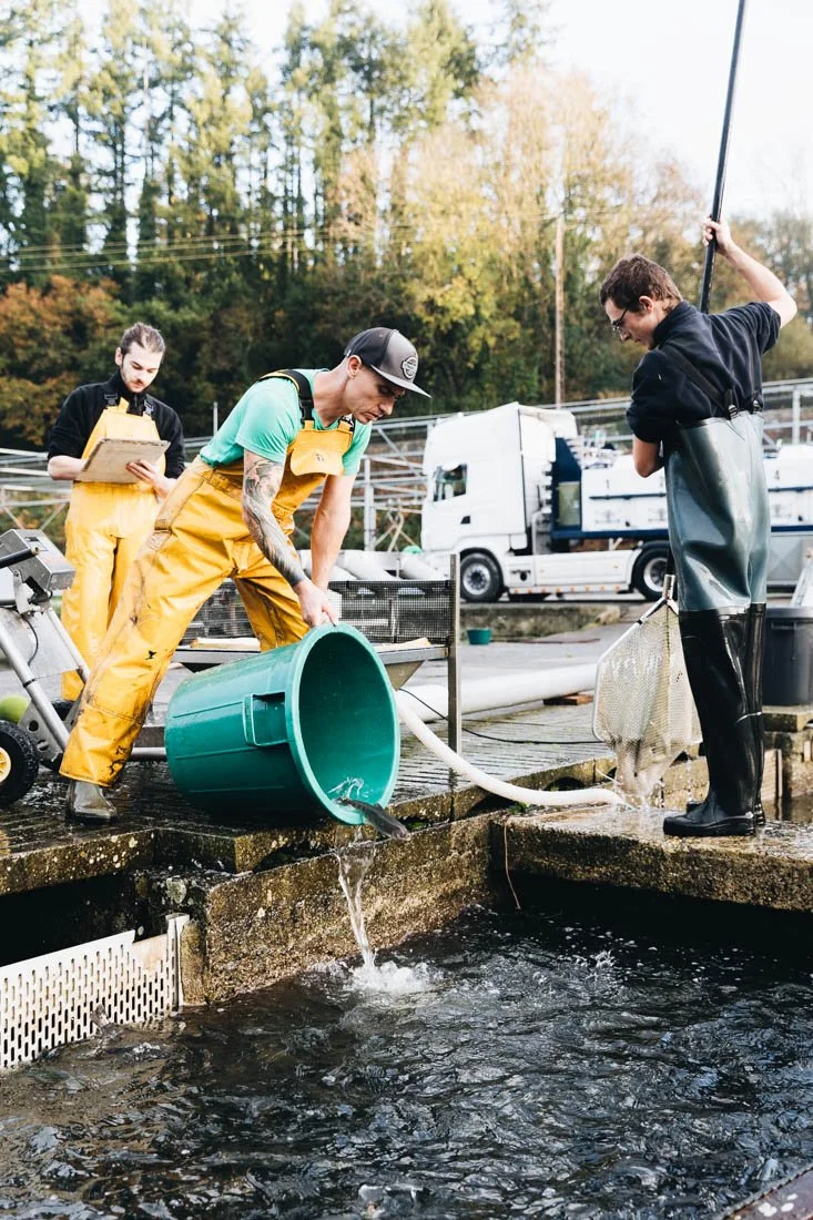 élevage pisciculture reportage