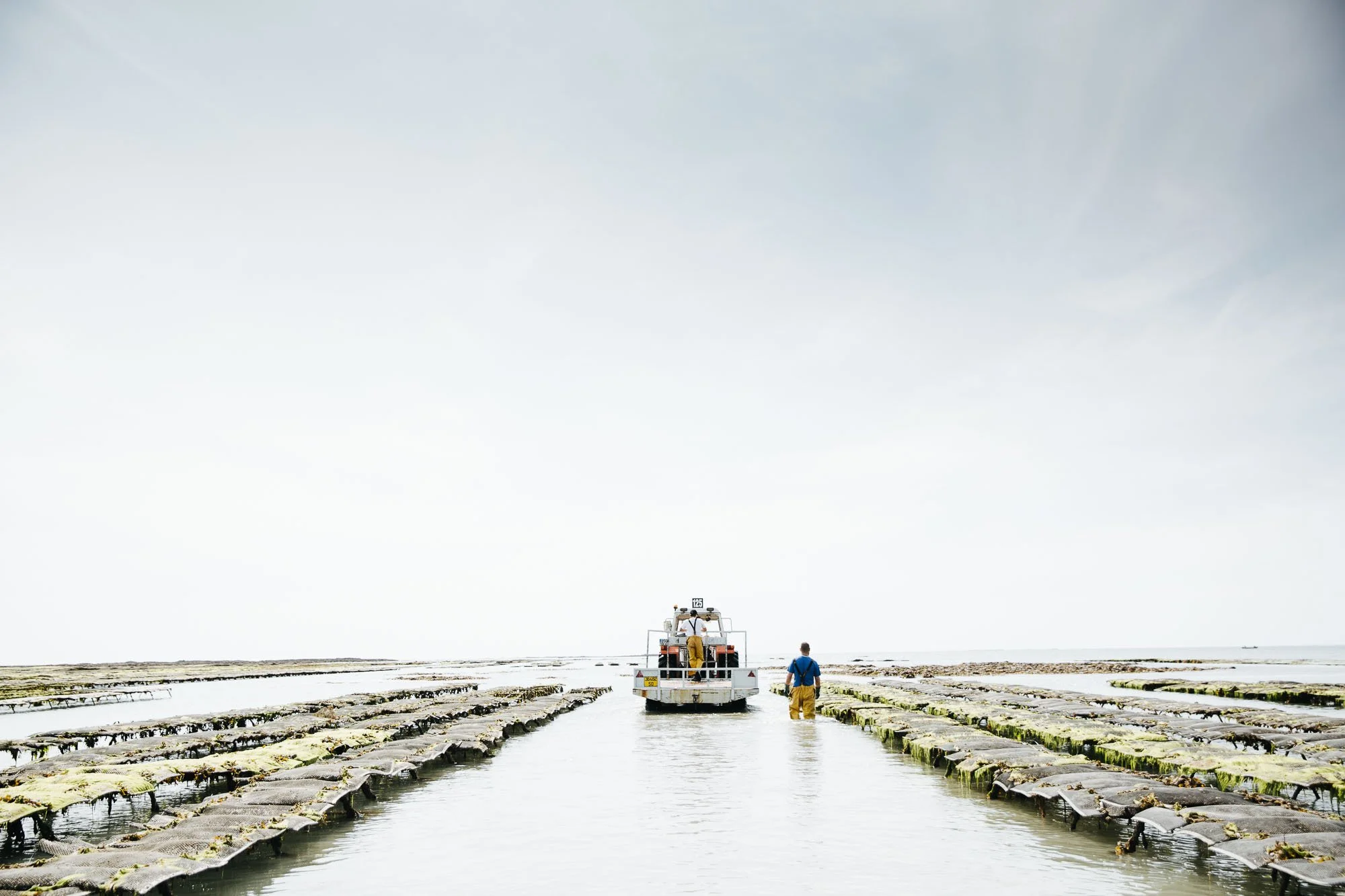 reportage ostréiculture