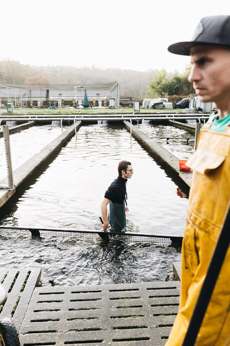 reportage élevage poisson par Alice Bertrand