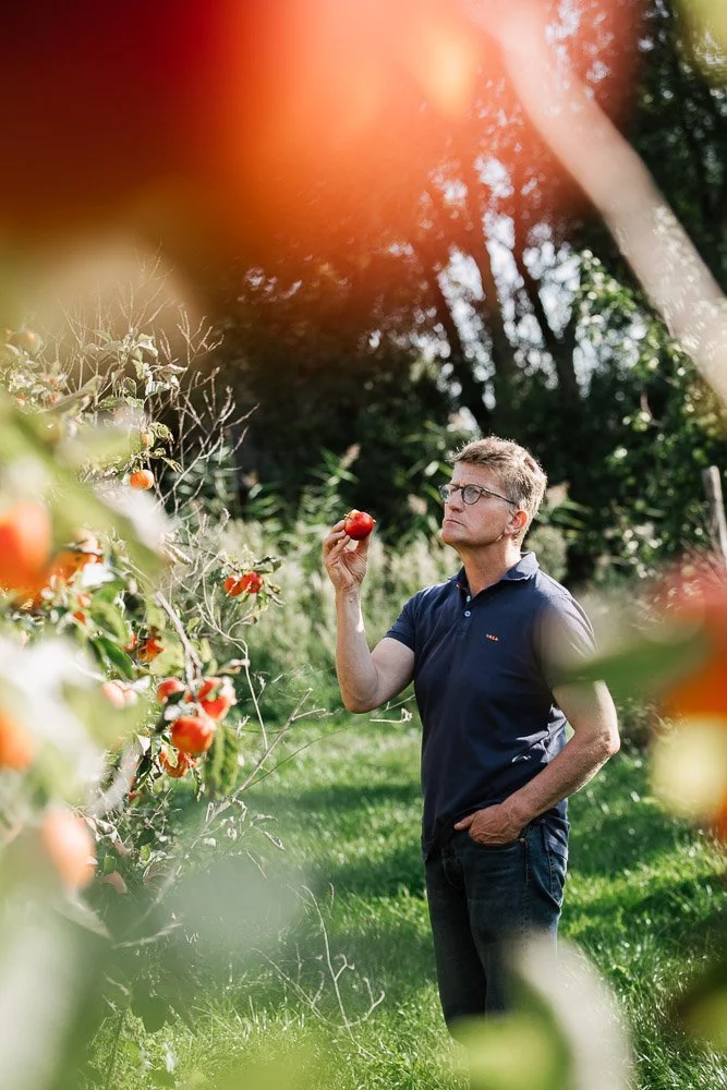 portrait producteur de pomme en hauts de France dans les vergers par Alice Bertrand