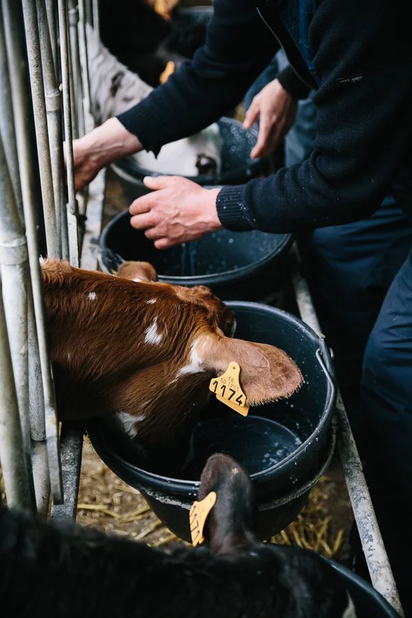 atelier therapie psychaitrie ferme agricole