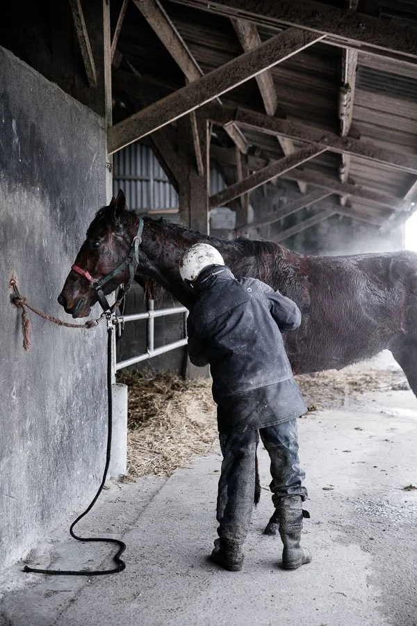Reportage photo entrenement de chevaux en normandie pour livre "Cotentissime"