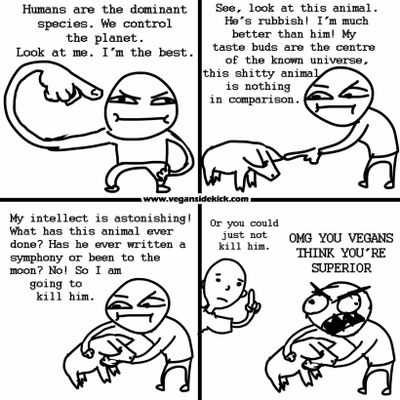 superior.jpeg