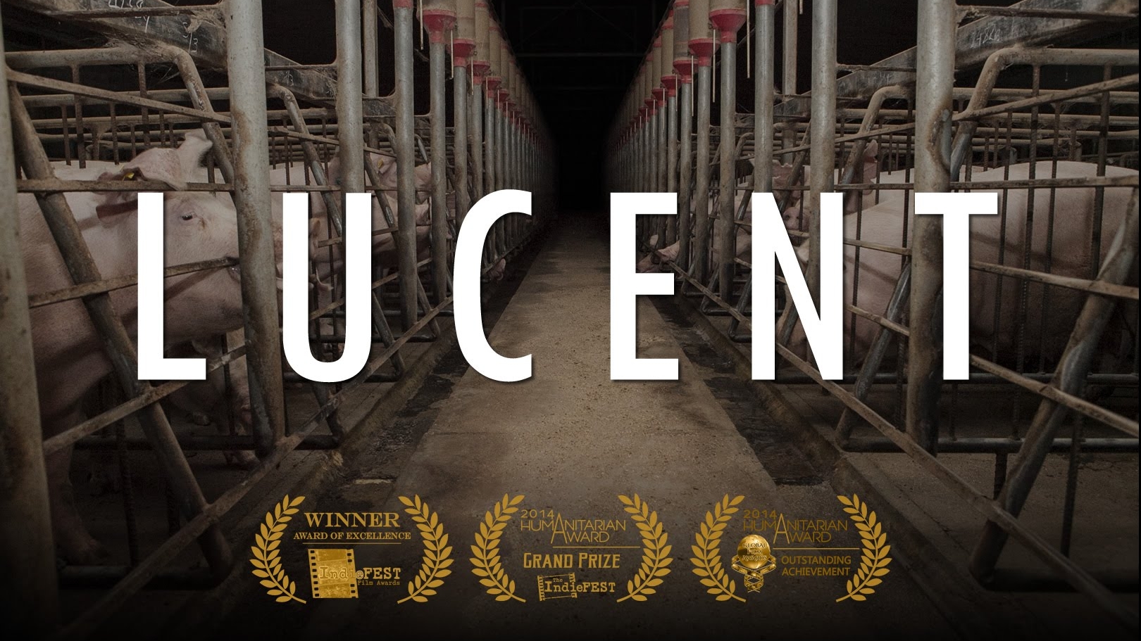 Lucent (Australian pork<br>industry documentary)