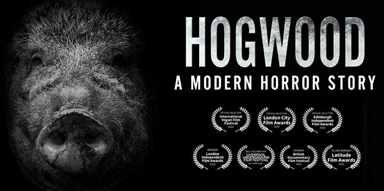 Hogwood (UK pig farm documentary)