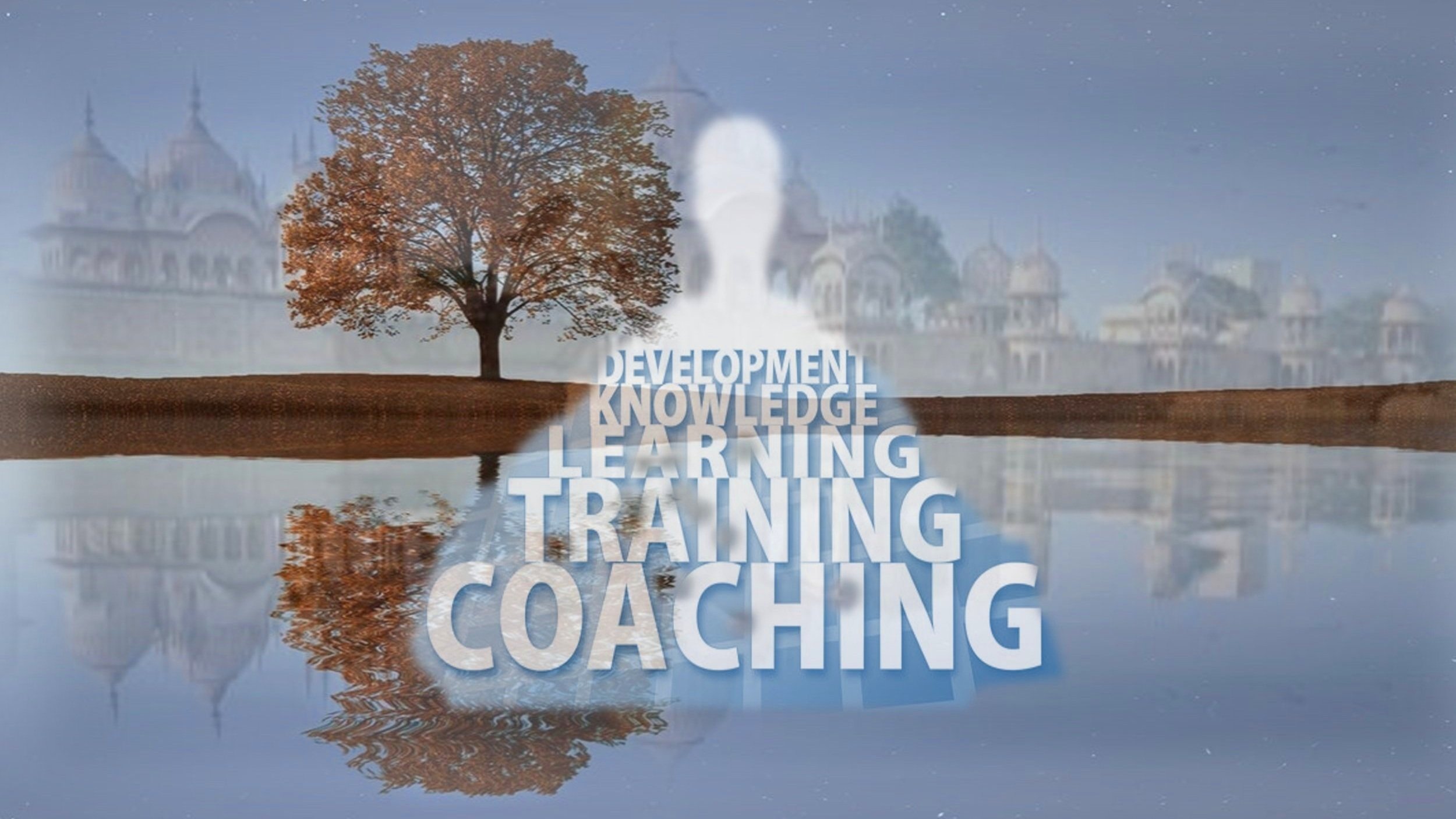 Holistic Workshops and Training