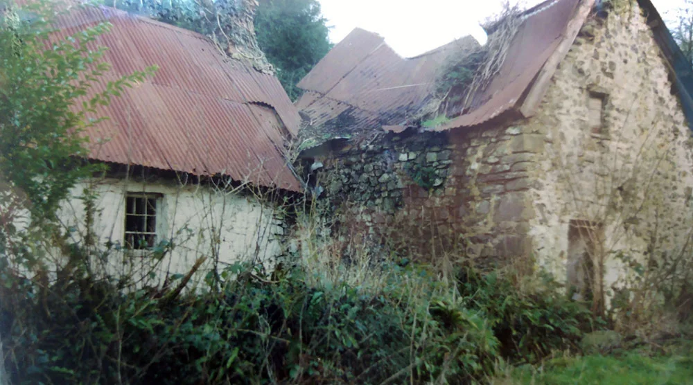 Glan yr Afon before 'rescue' in 1990