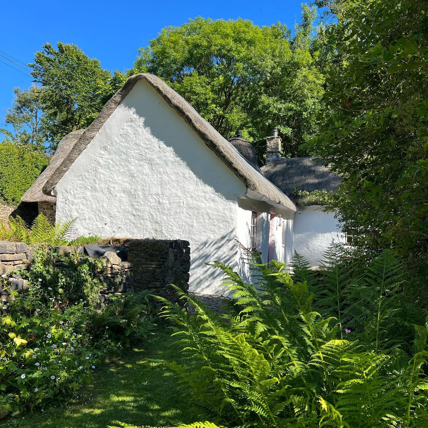 If you&rsquo;re after a late Spring / early Summer restorative break on the Welsh coast in our little thatched cottage with lovely garden then we&rsquo;ve had a tiny bit of availability come up in May &amp; June as guests have moved dates. Info and b