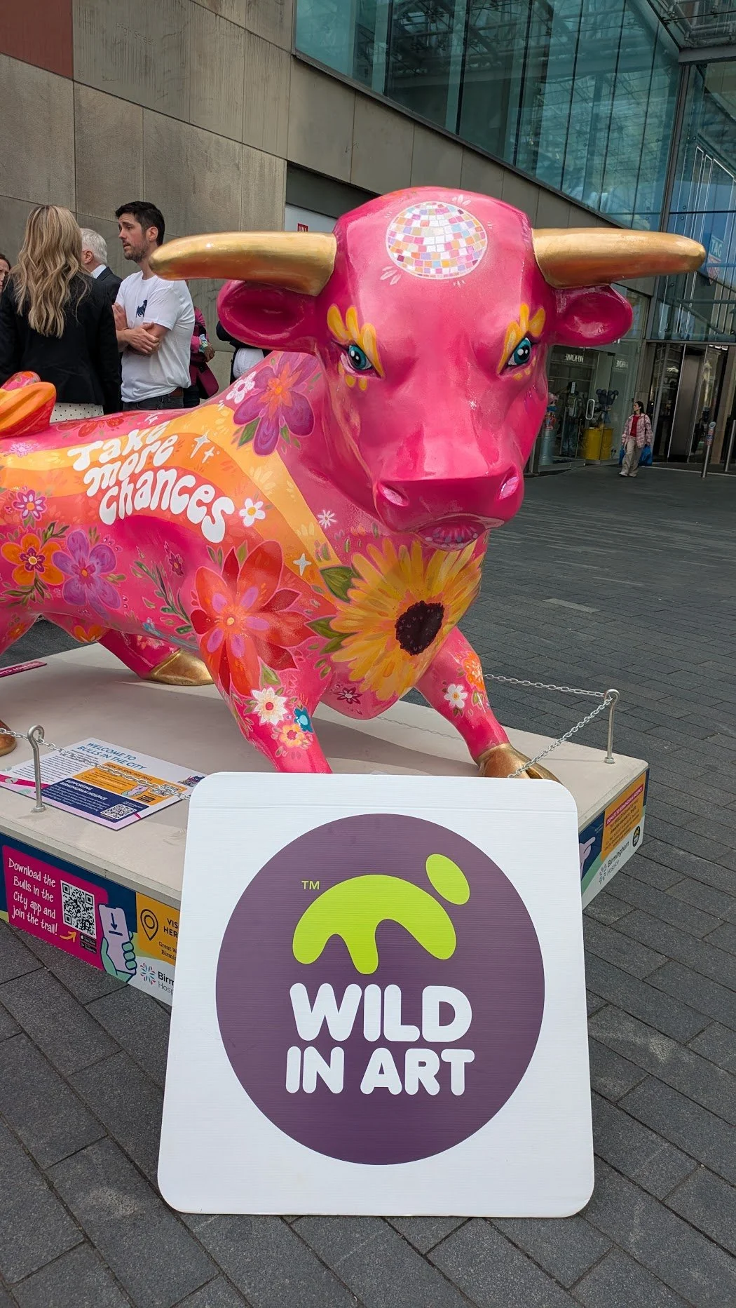 Bull-Bullring.MP.jpg