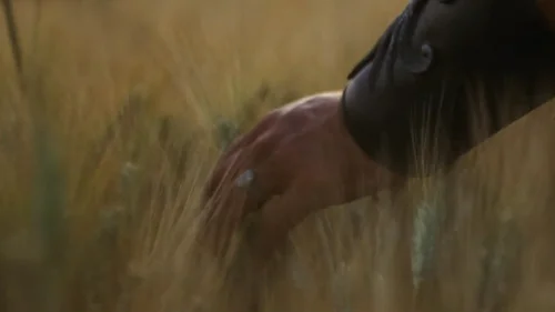 Read The Screenplay For Gladiator 2000 Screenplayed