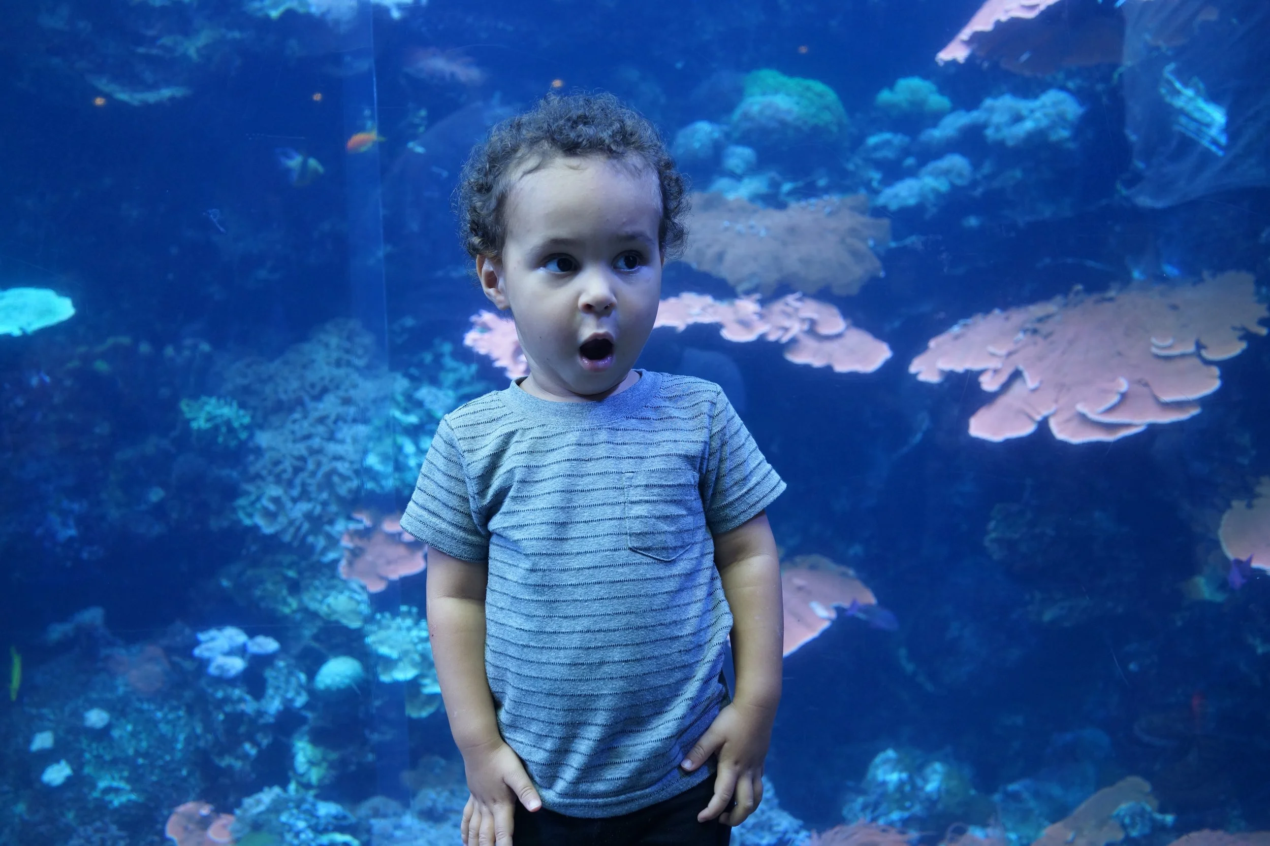 How Can You Help With Big Emotions ?