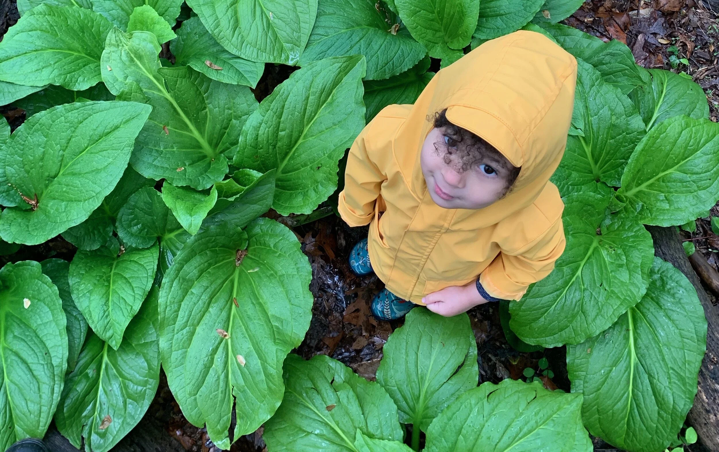 Have You Gone Exploring Lately ?