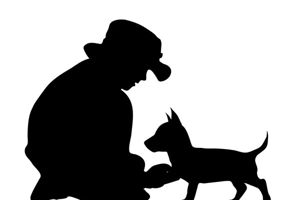 Big Question: My Five-year-old Keeps Asking For A Puppy? Should We Get Her One?