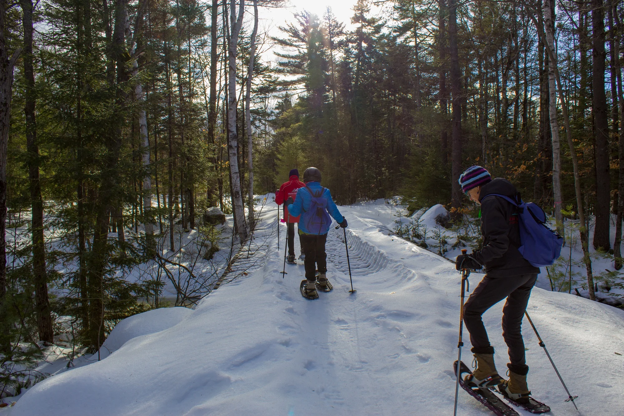 Winter Programs — Maine Adaptive