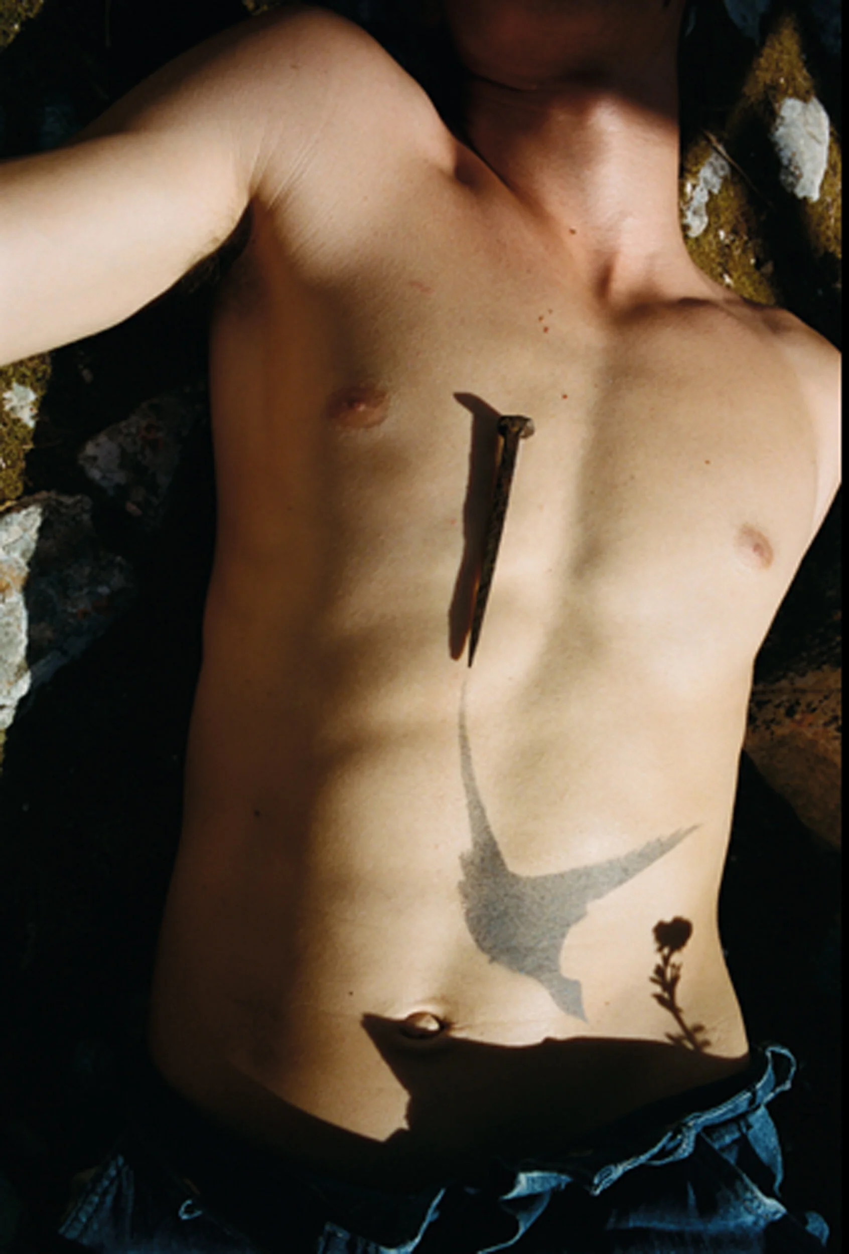 AN39_DOC6_BrettLloyd_05_150dpi.jpg