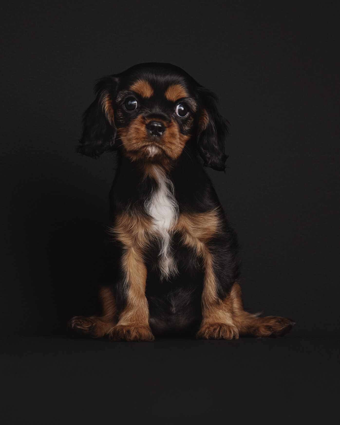 MassimoDutti_Kids25458.jpg