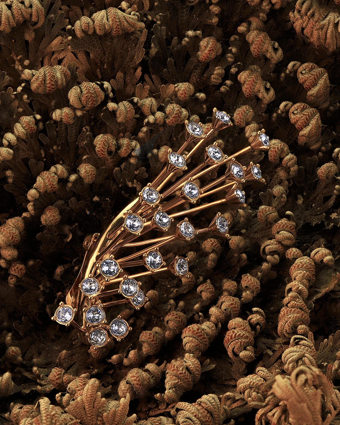 CACTUS_MAGAZINE_10.jpg
