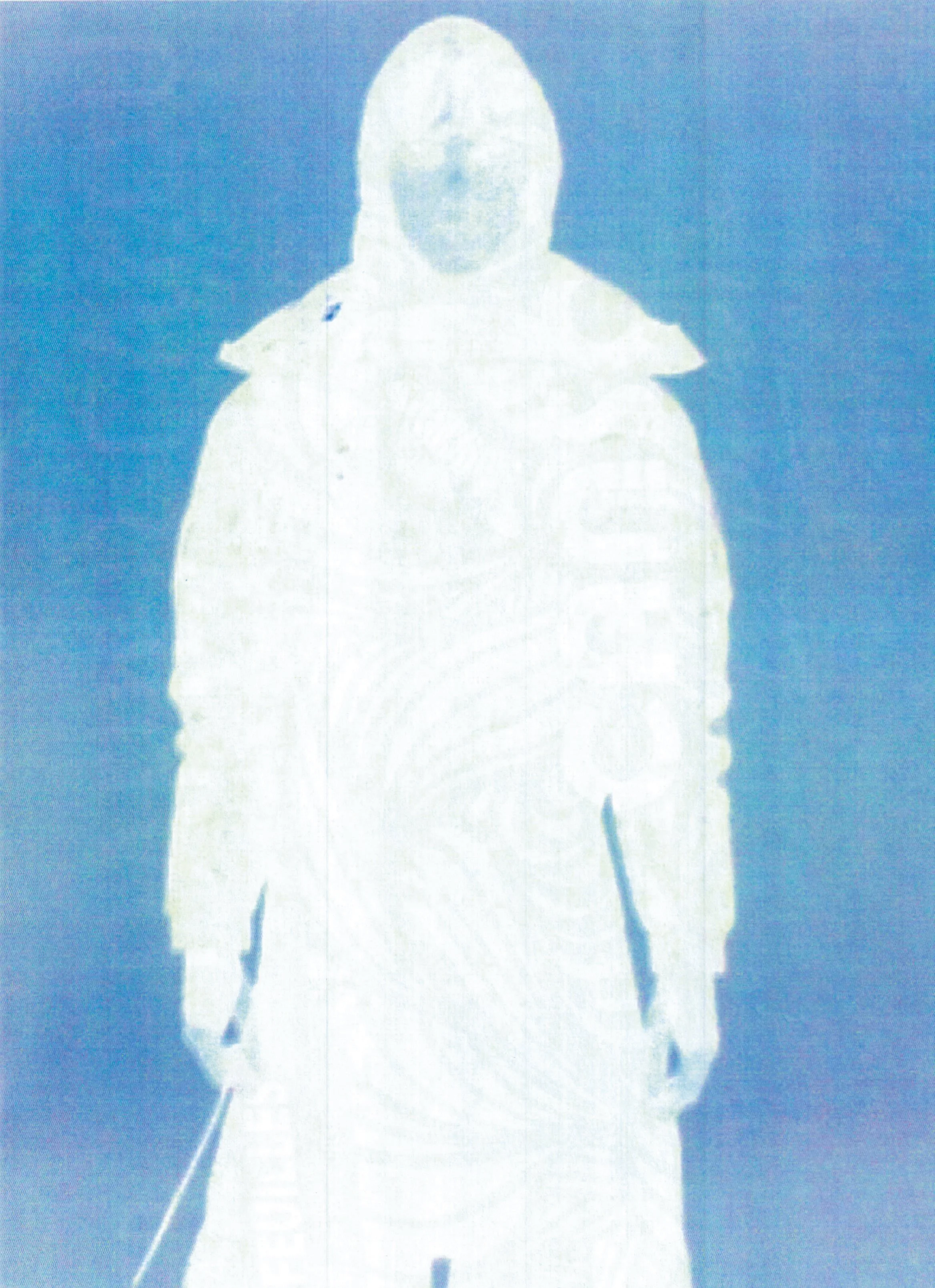 CACTUS_13_ILYA CHEMETOFF_14.jpg