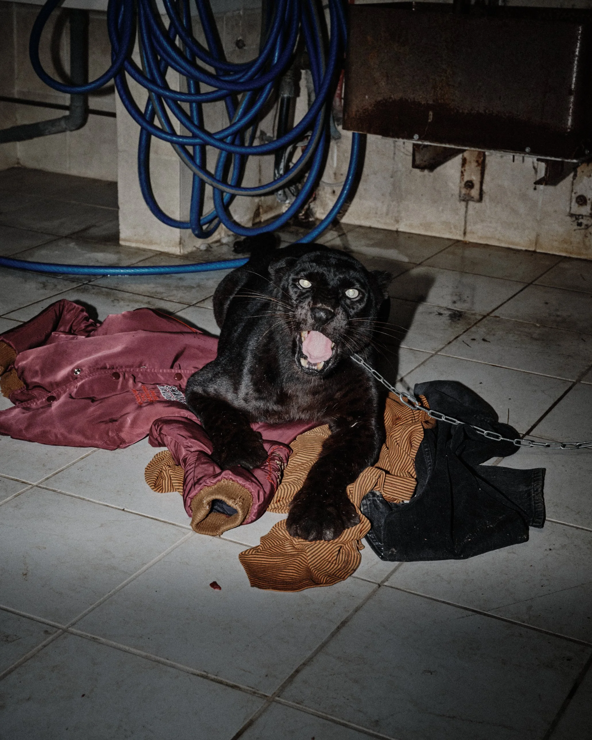 DSCF6022.jpg