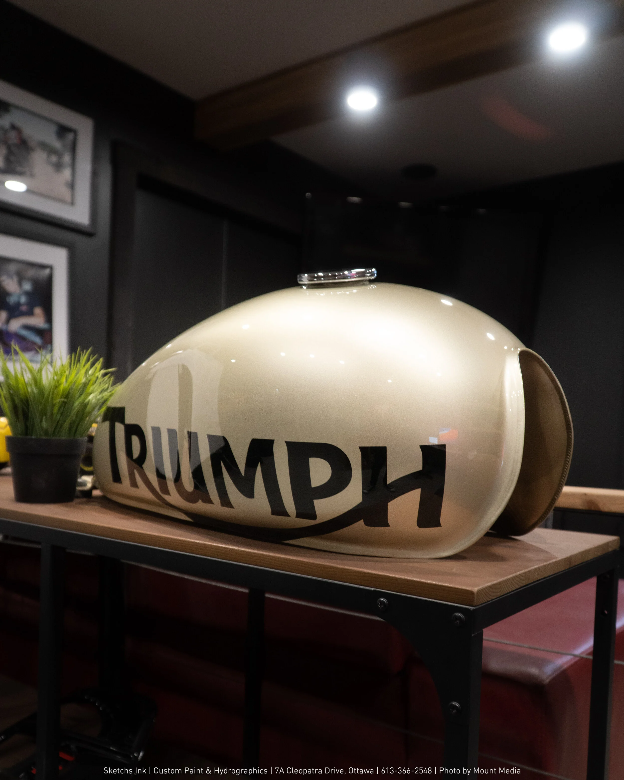 Triumph Bonneville: Damage Repair