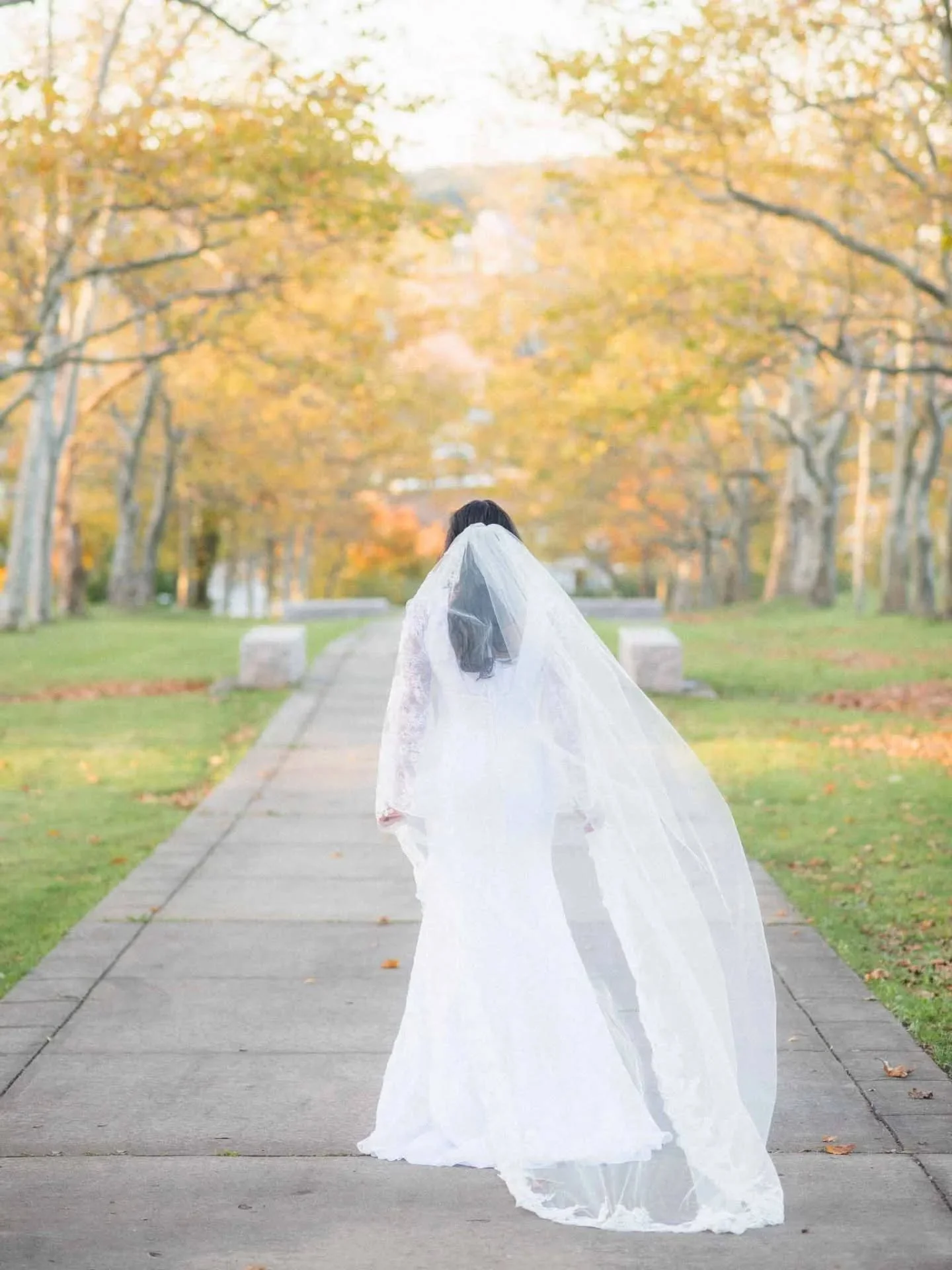 Autumn is truly in full swing and colors couldn't be more beautiful right now