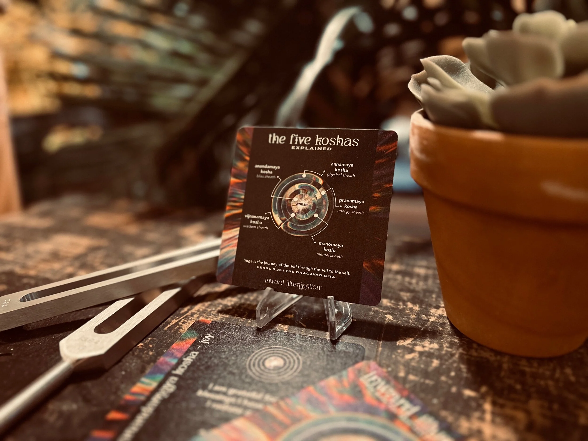 5D1D5541-D25B-499E-A312-0DD0D609DA91