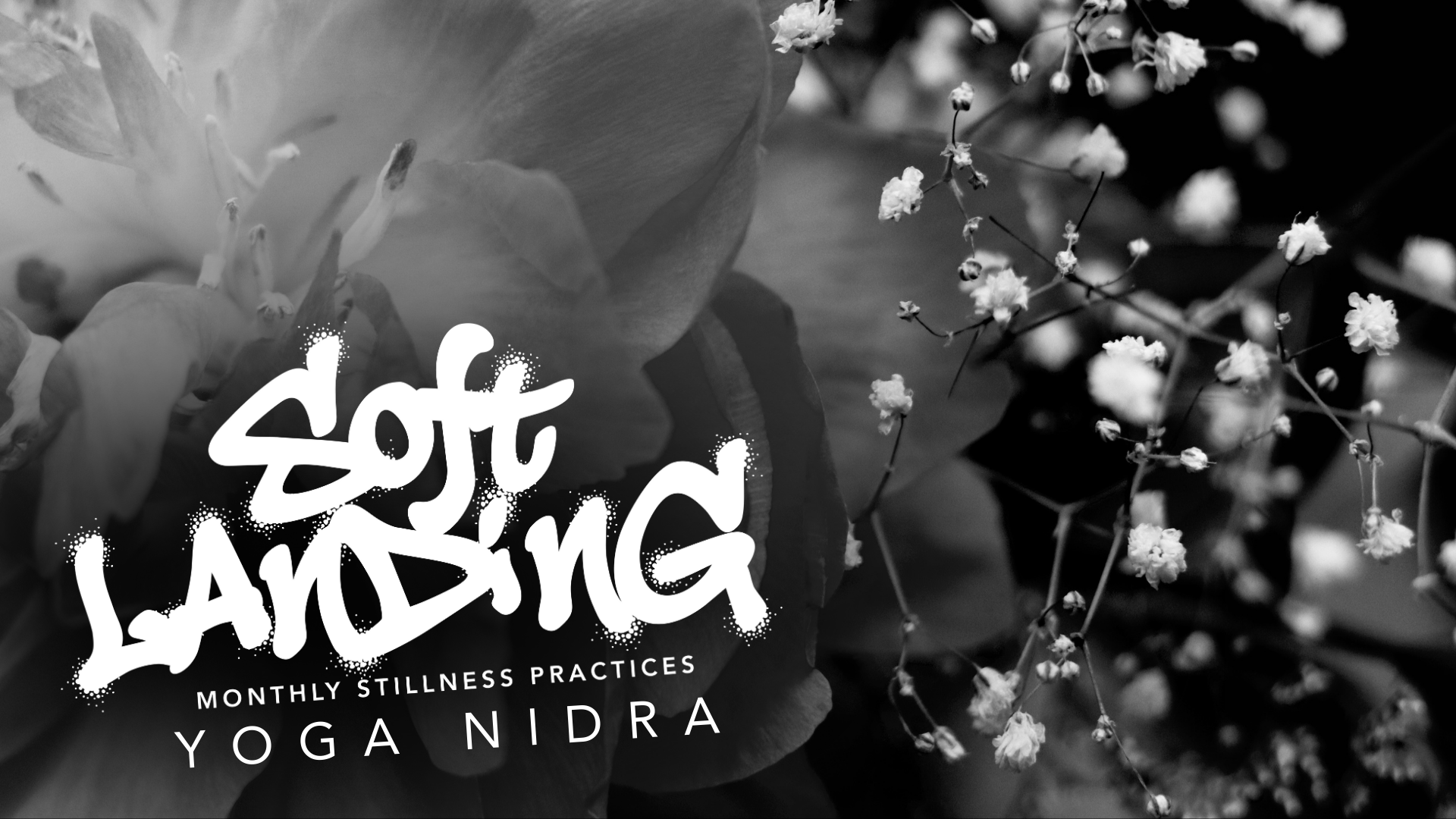  Soft Landing: Monthly Stillness Practice -  Yoga Nidra
