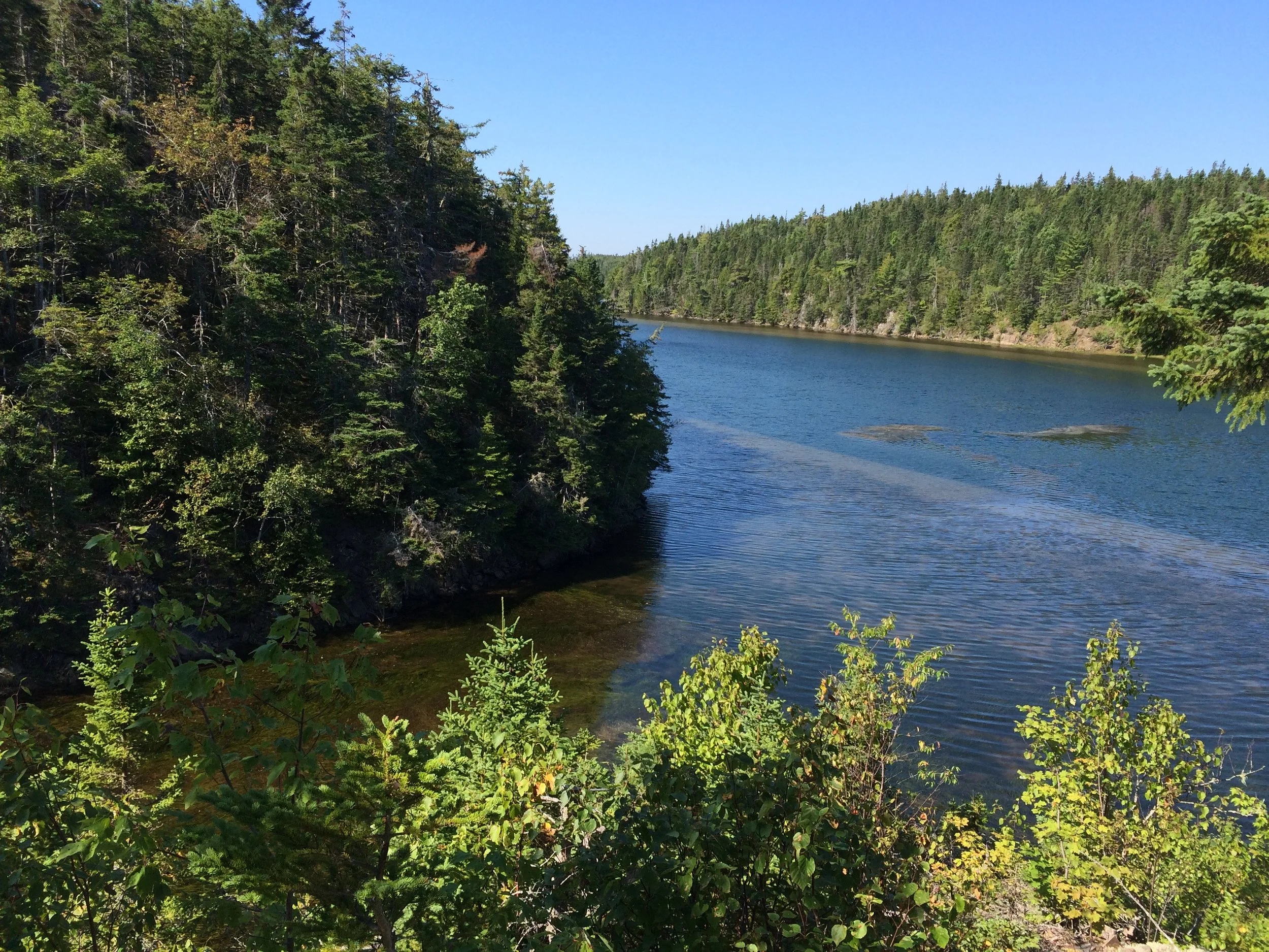 One of the two lookout points we found.