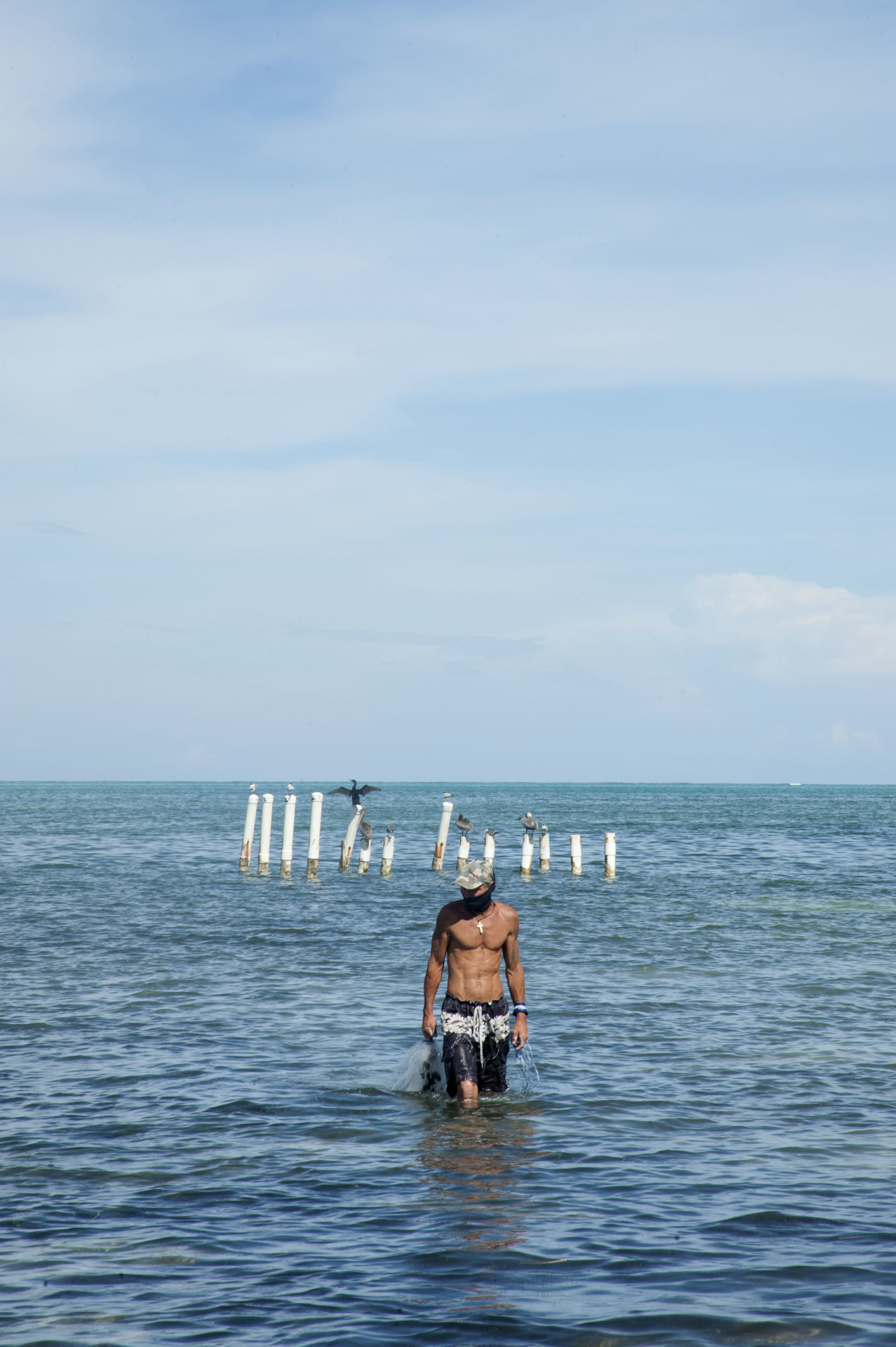 Bird and Man Fishing, Caye Caulker, Belize