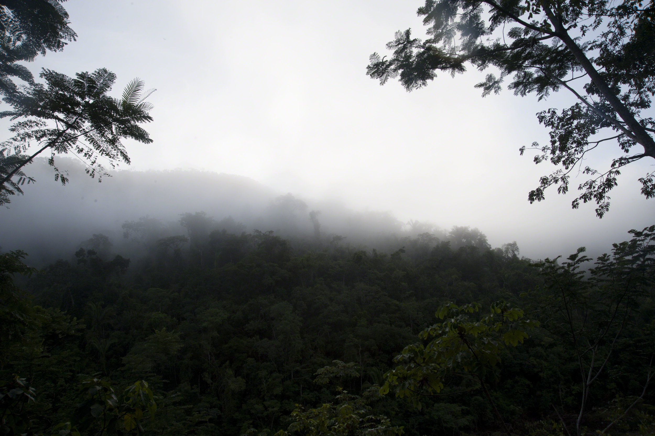 Mist on Mayan Mountains, San Ignacio, Belize