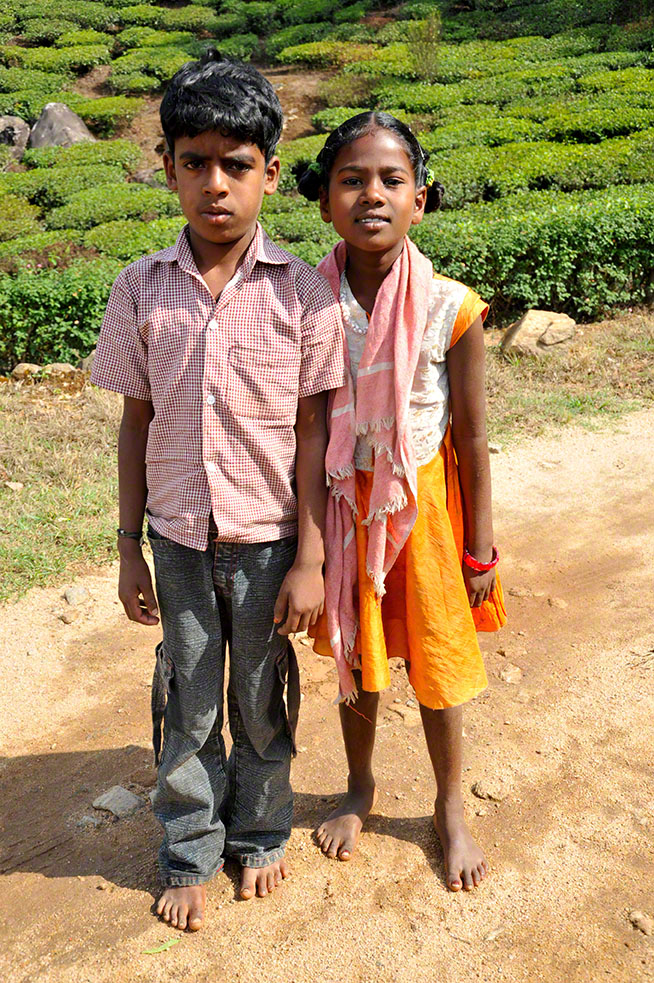 Boy and Girl on Tea Plantation, Munnar, India