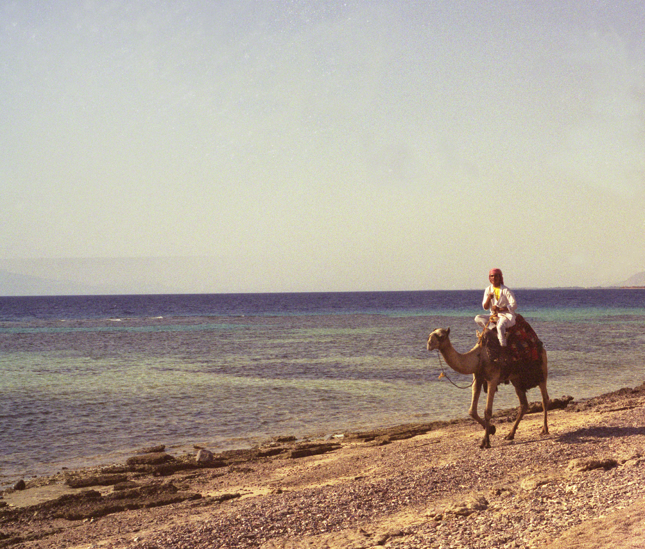A Bedouin Riding His Camel, Sinai, Egypt