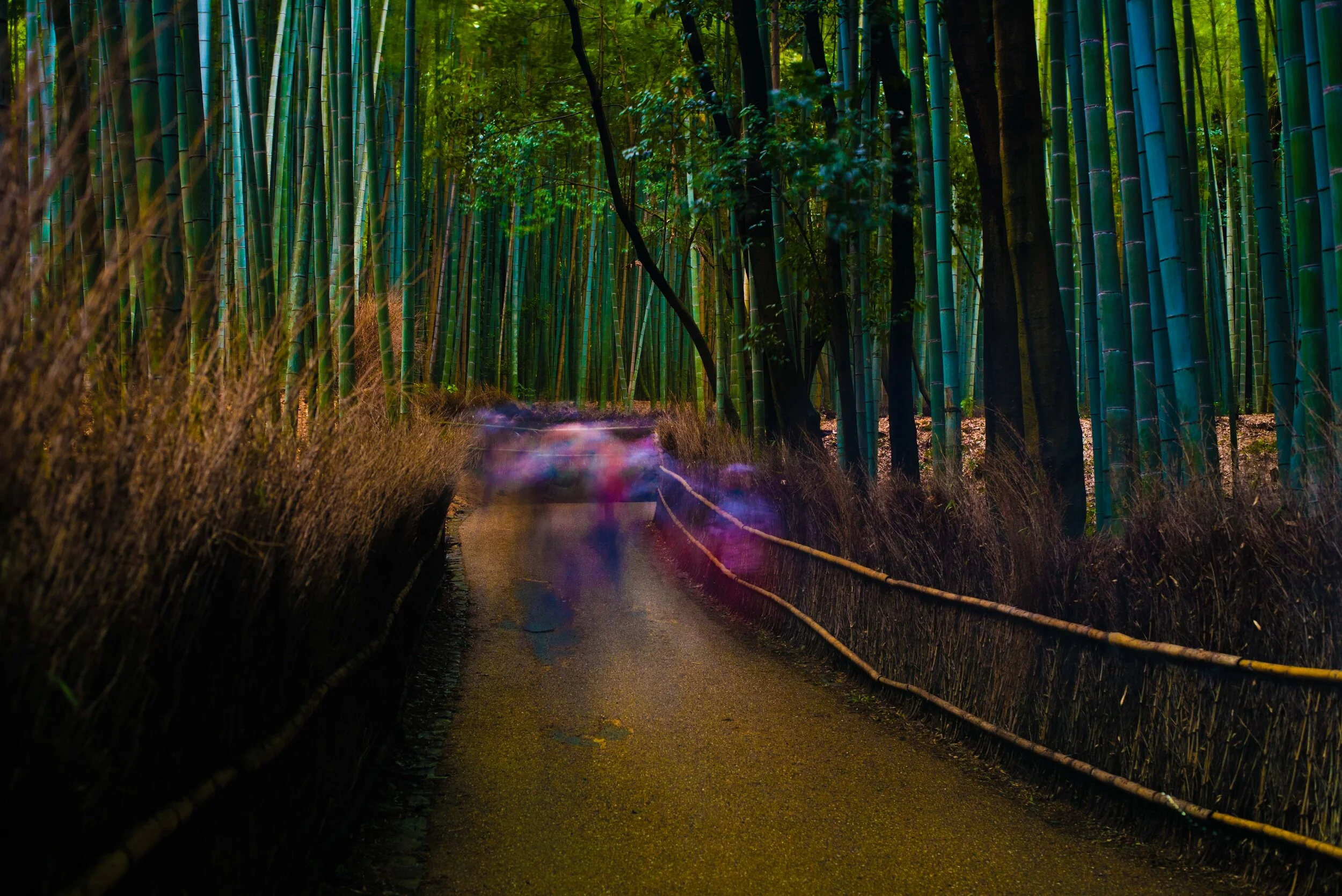 Kyoto Grove Ghosts