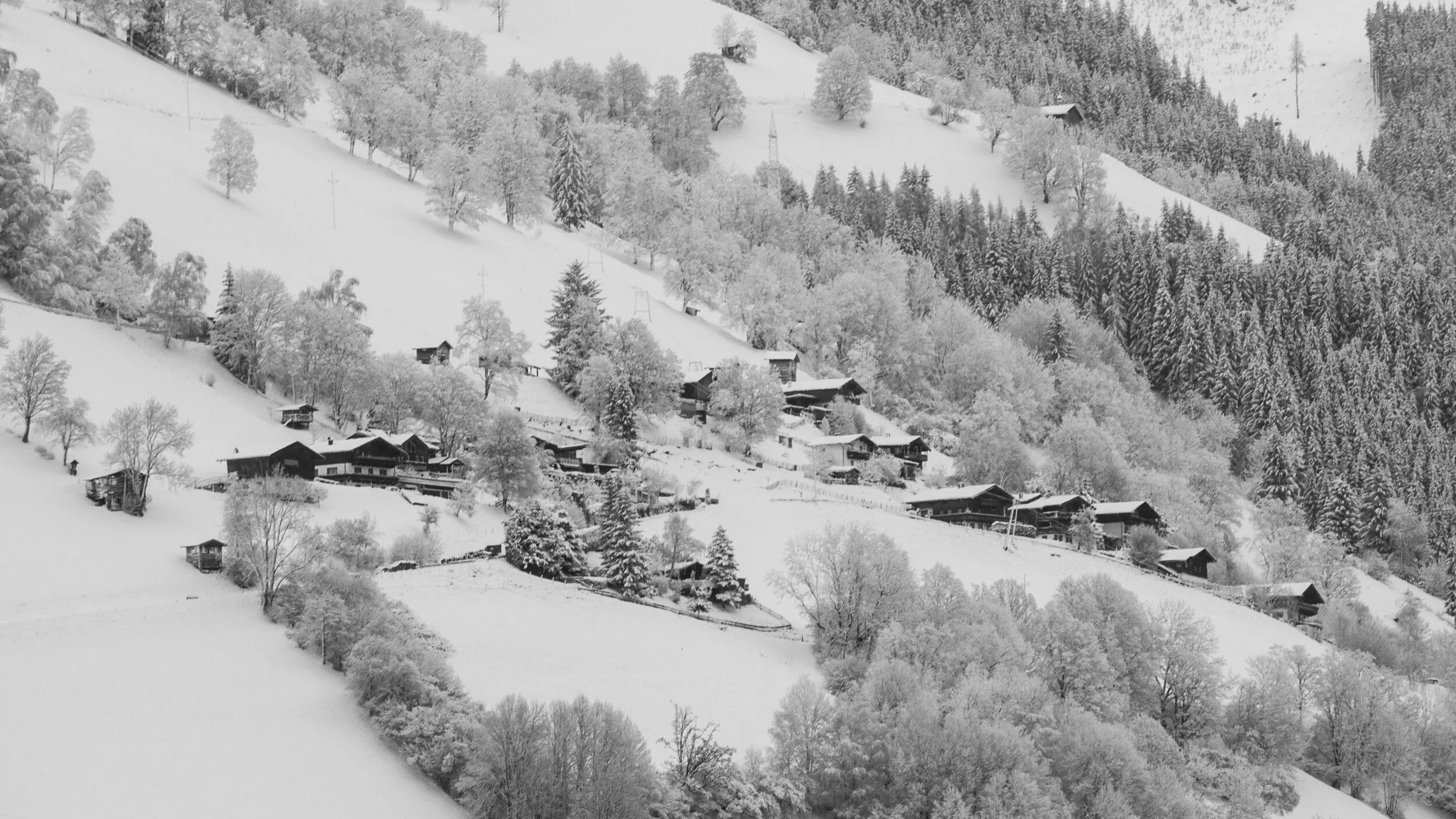 Lodgings 