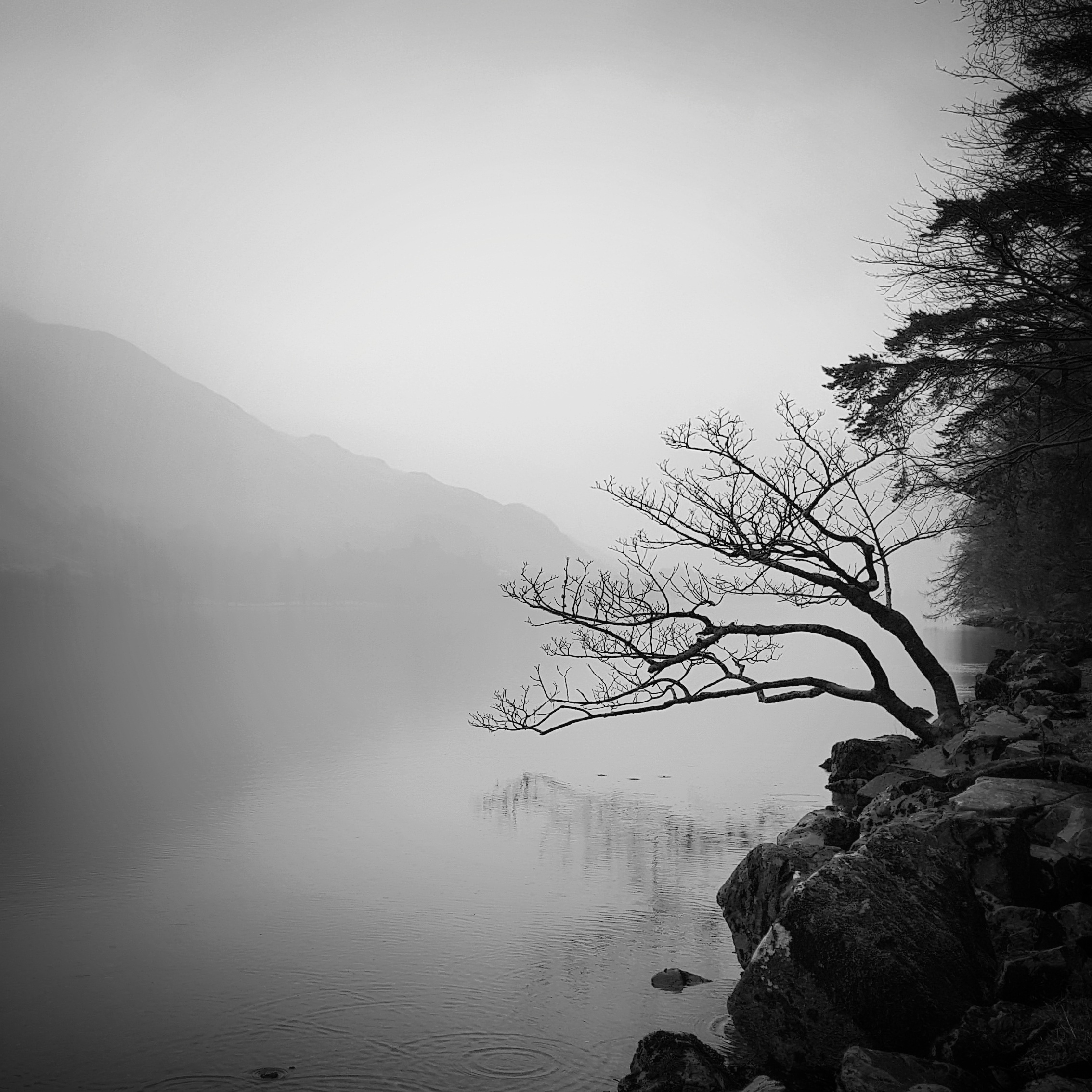 A Smartphone Image from 2018