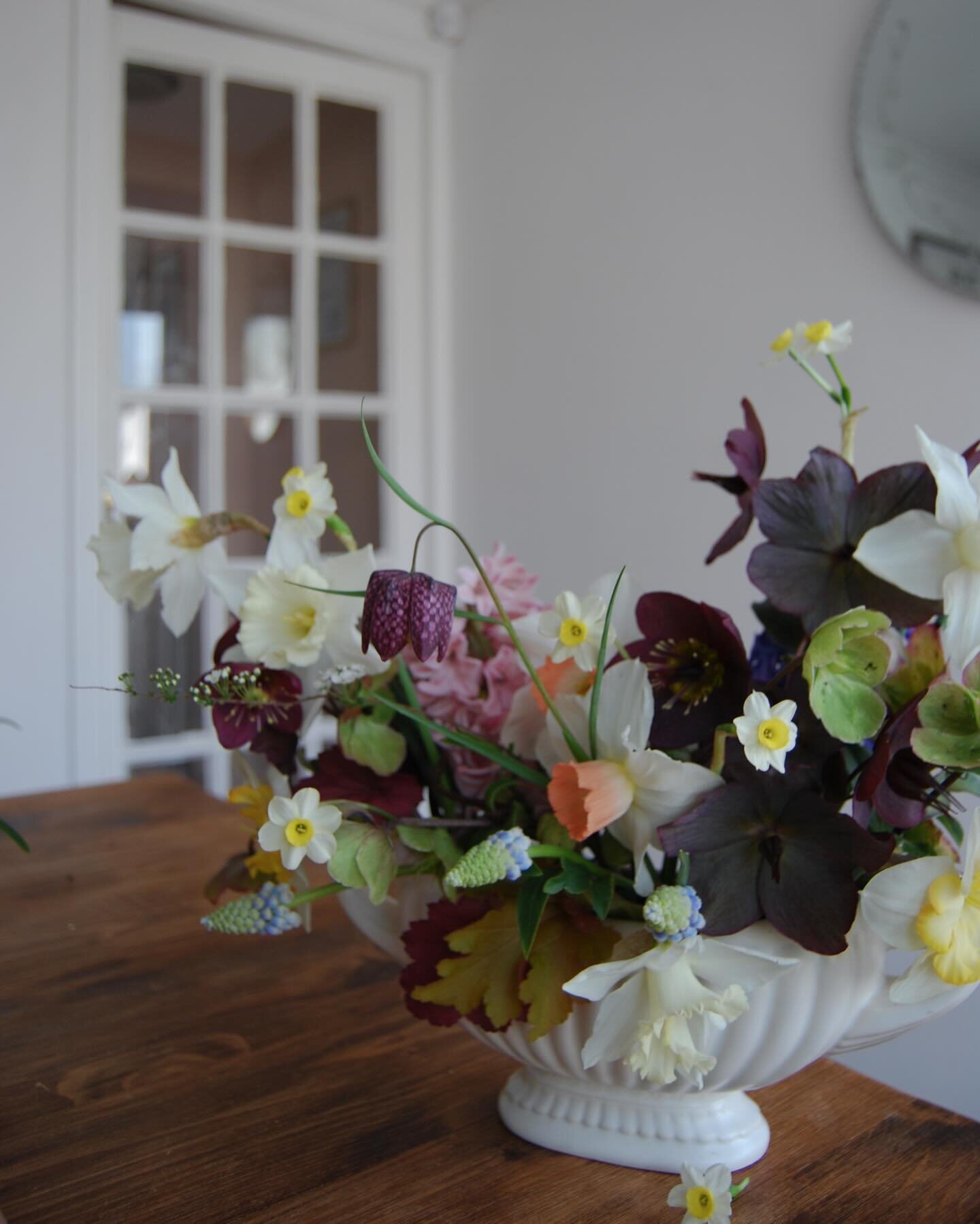 March findings from the garden ✨✨