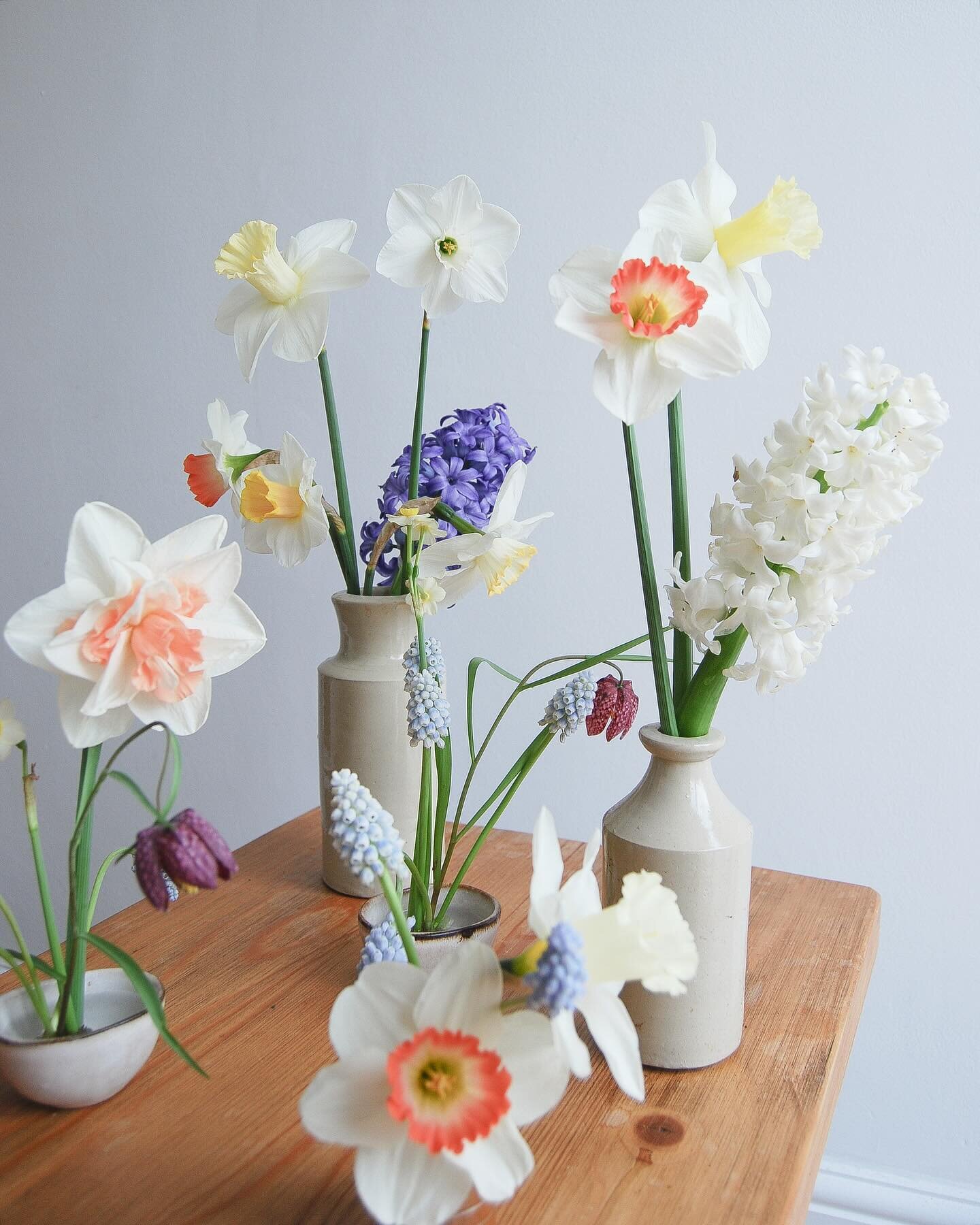 Spring bowls and buds x x