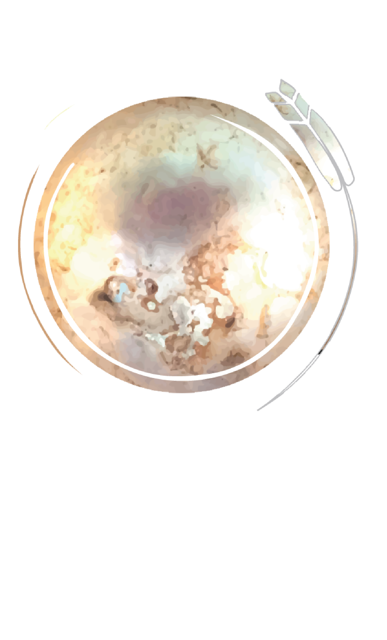 SPA LOGO PLAIN SQUARESPACE-02.png