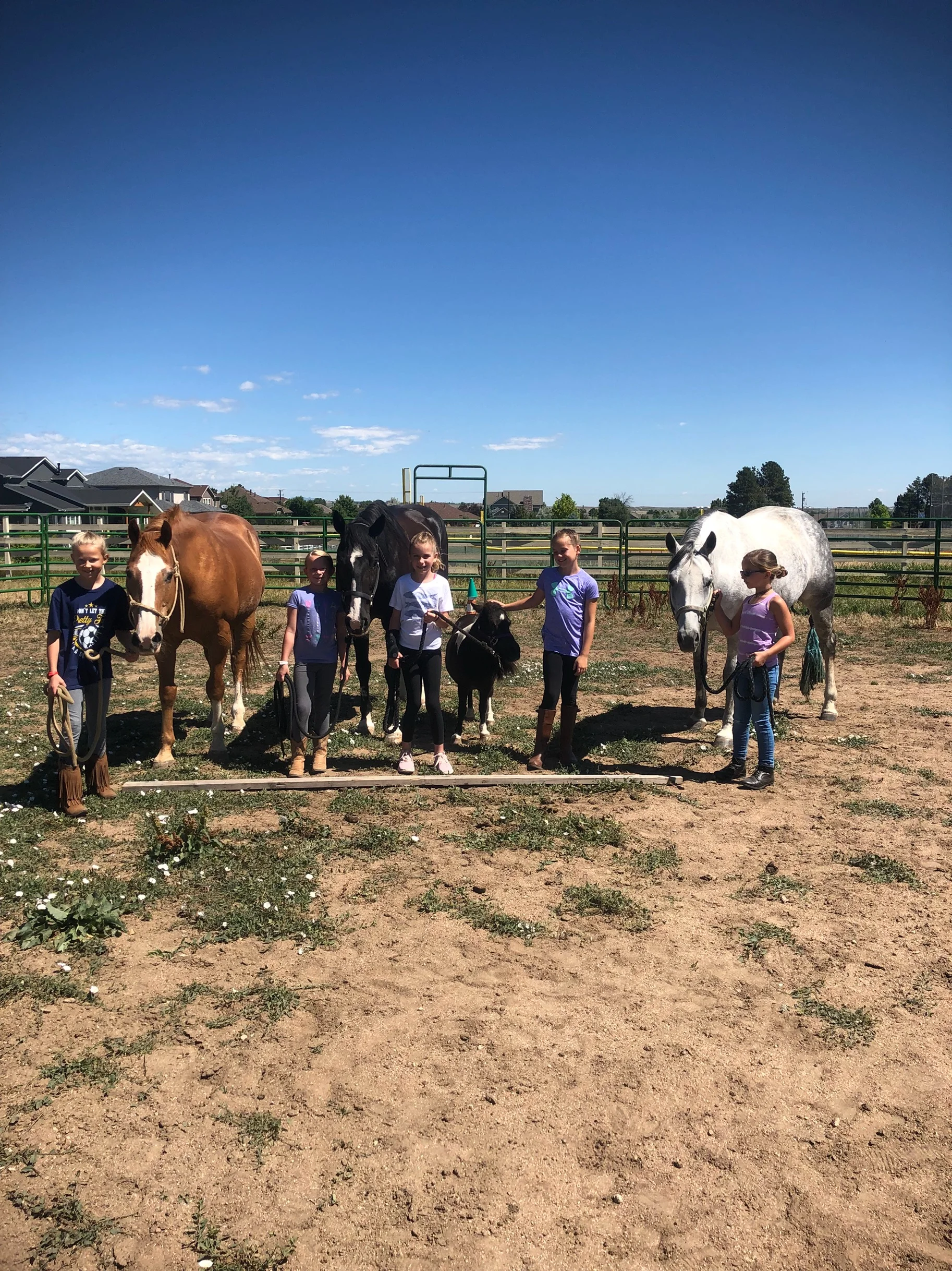  Everyone groomed and lined up. learning some ground work before getting on! 
