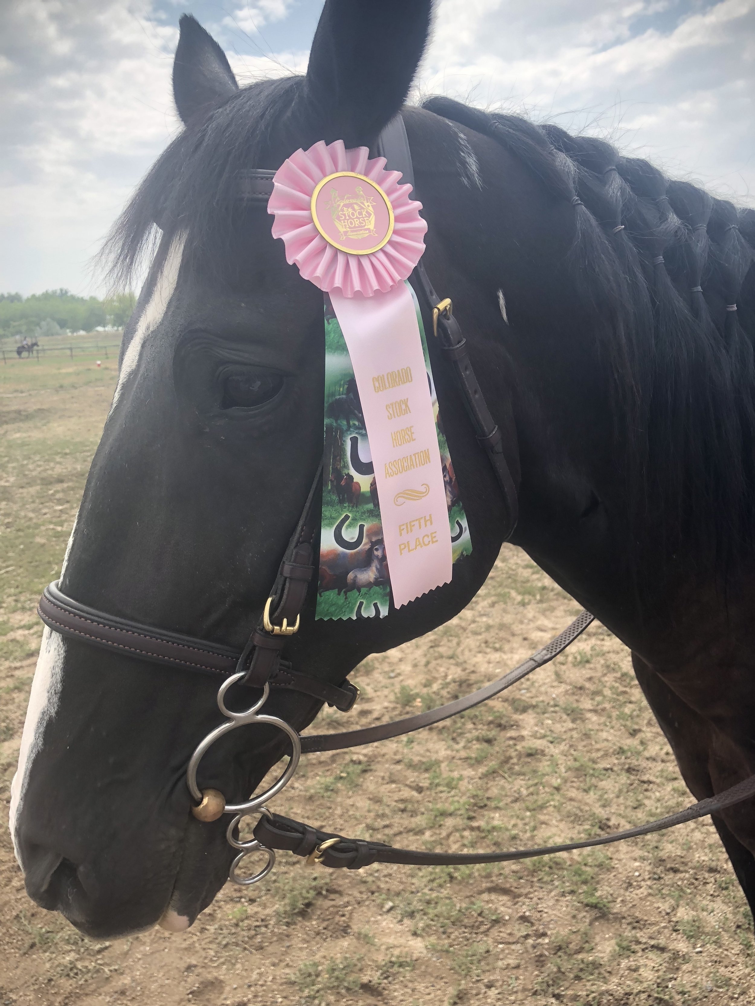 Blitz places in his first English show