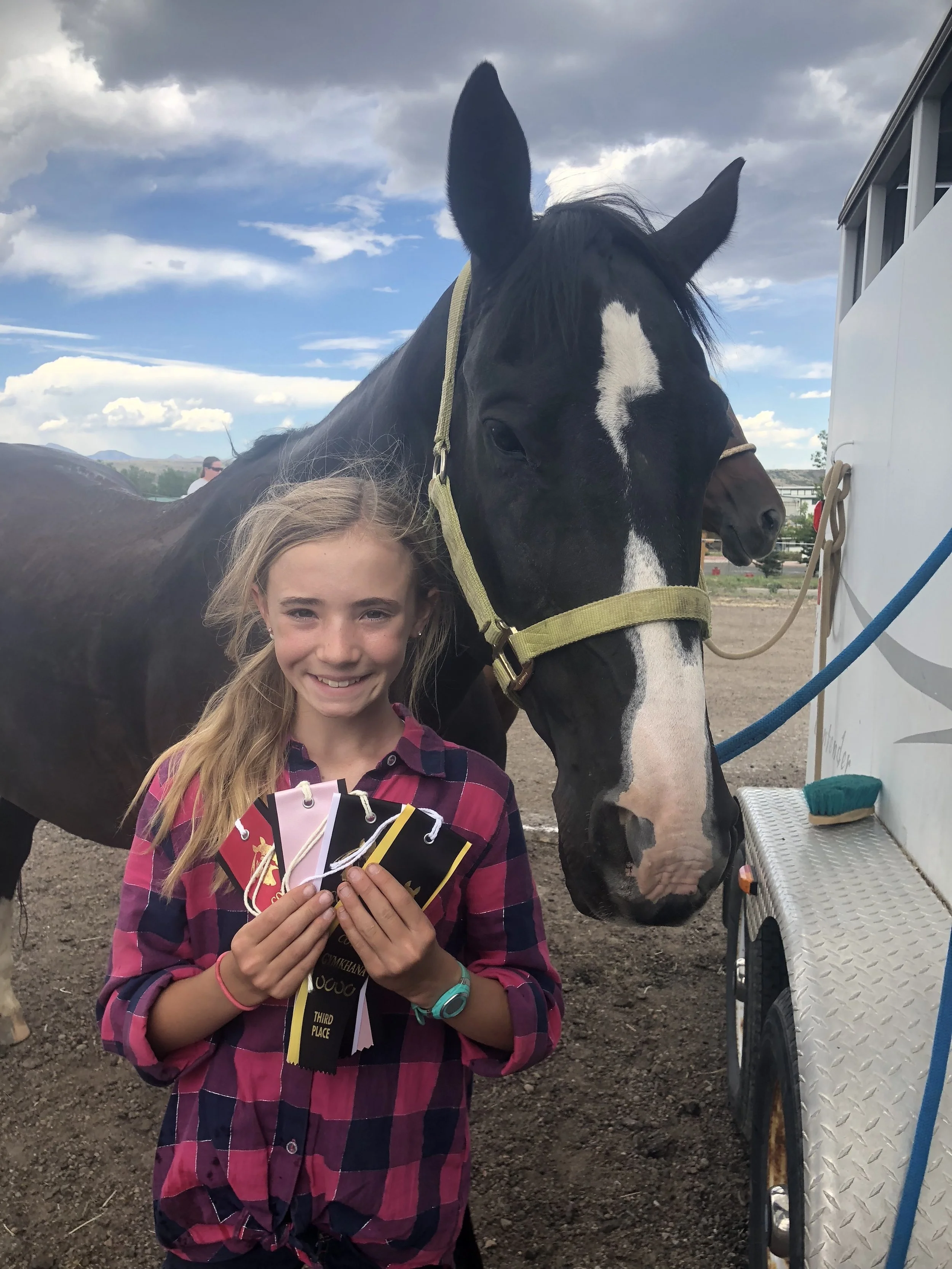 Ribbons at the gymkhana