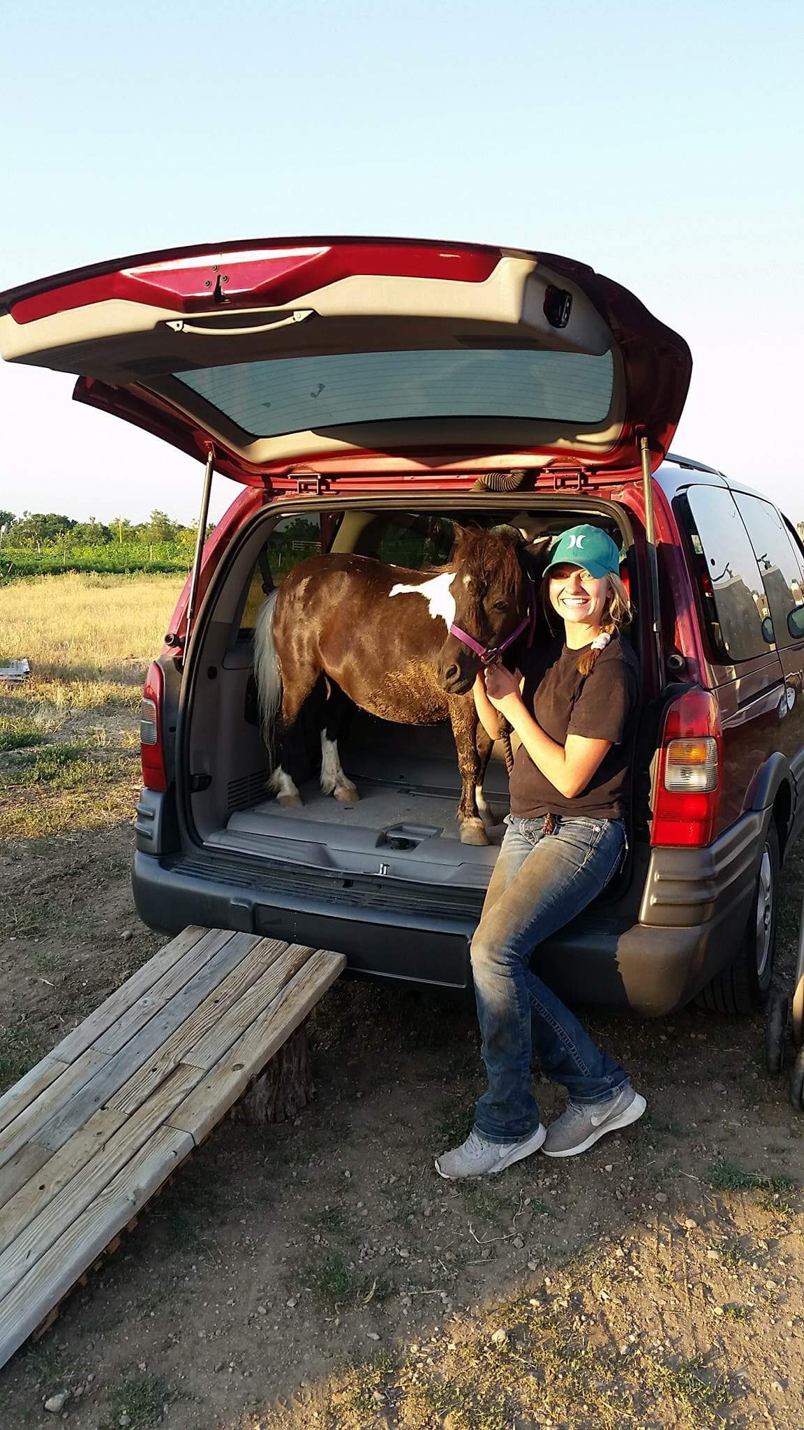 Penny the Mini in a Mini-Van!
