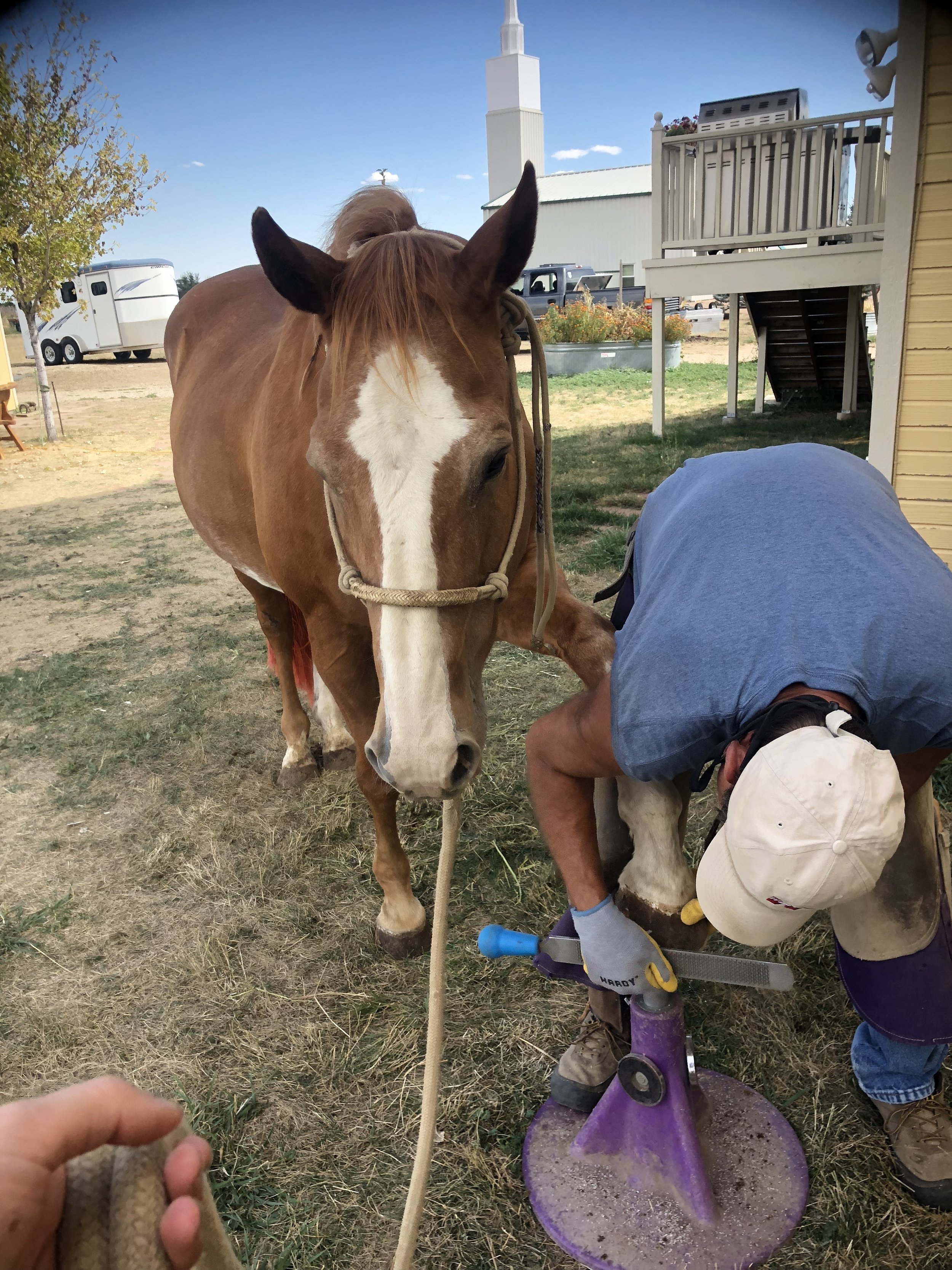 Gus getting a pedi