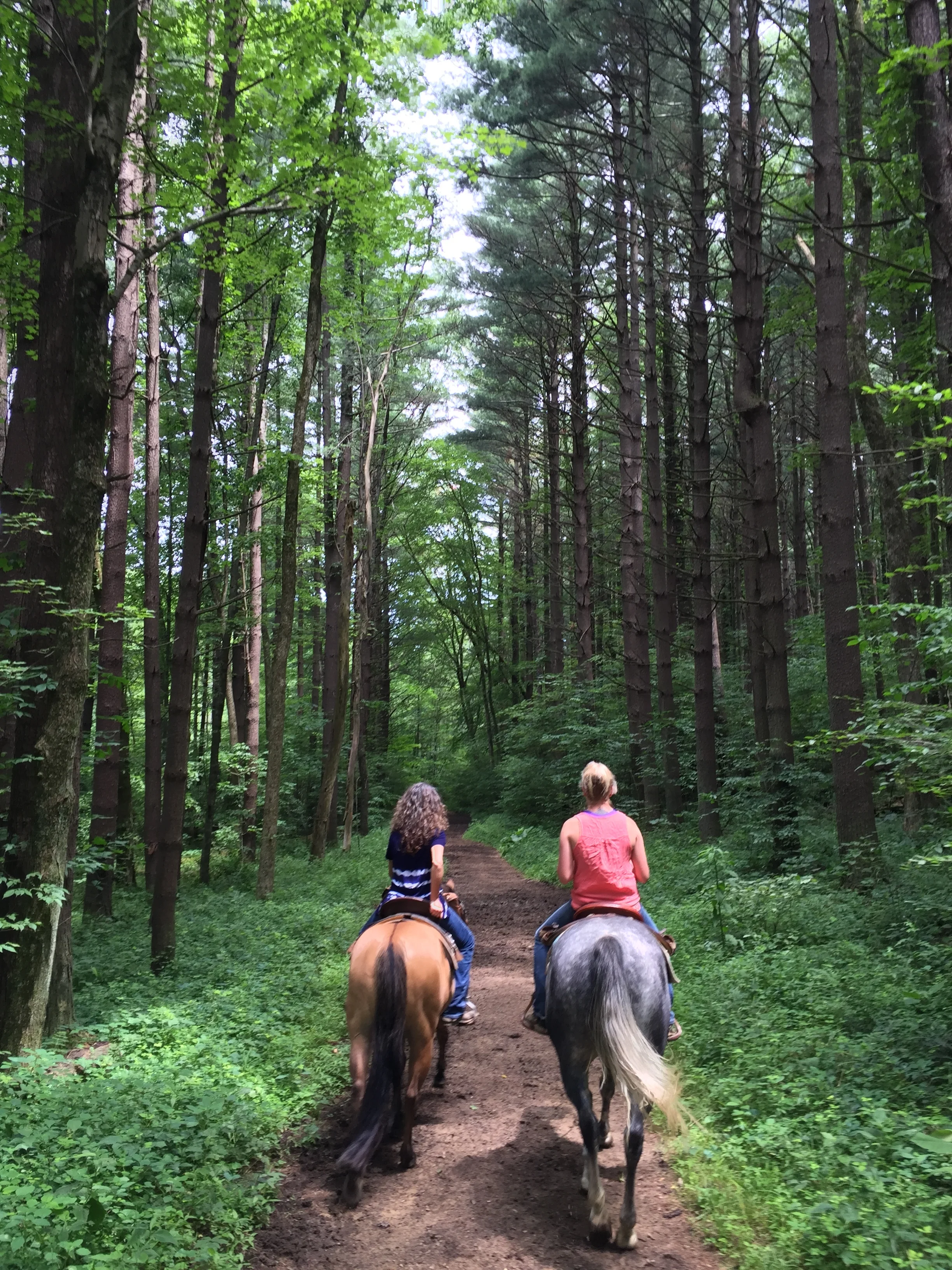 Stacy Westfall Clinic Ohio, 2017