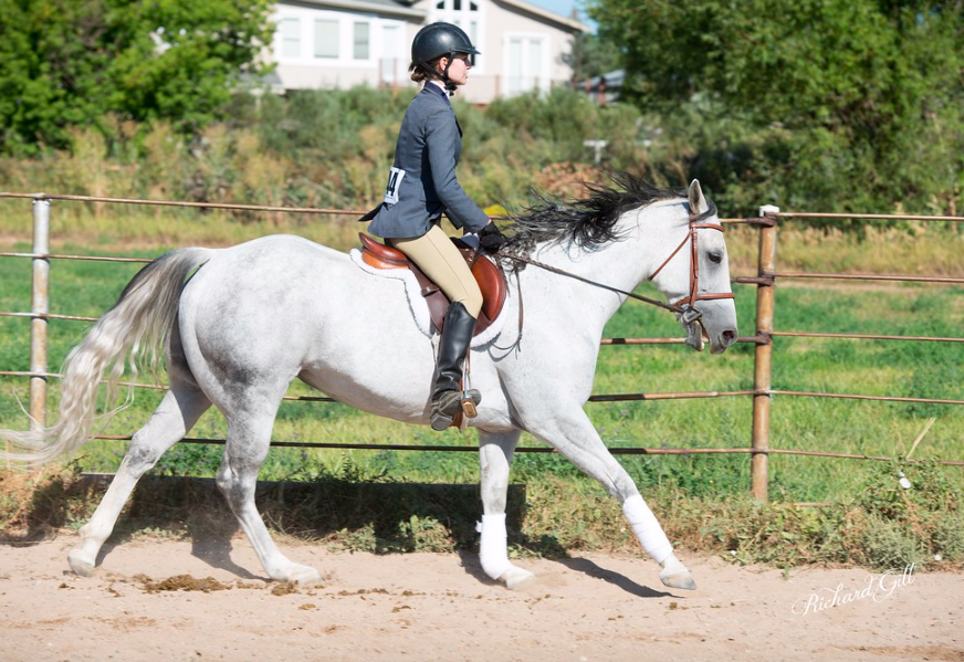 Screen Shot 2019-11-22 at 7.54.42 PM.png