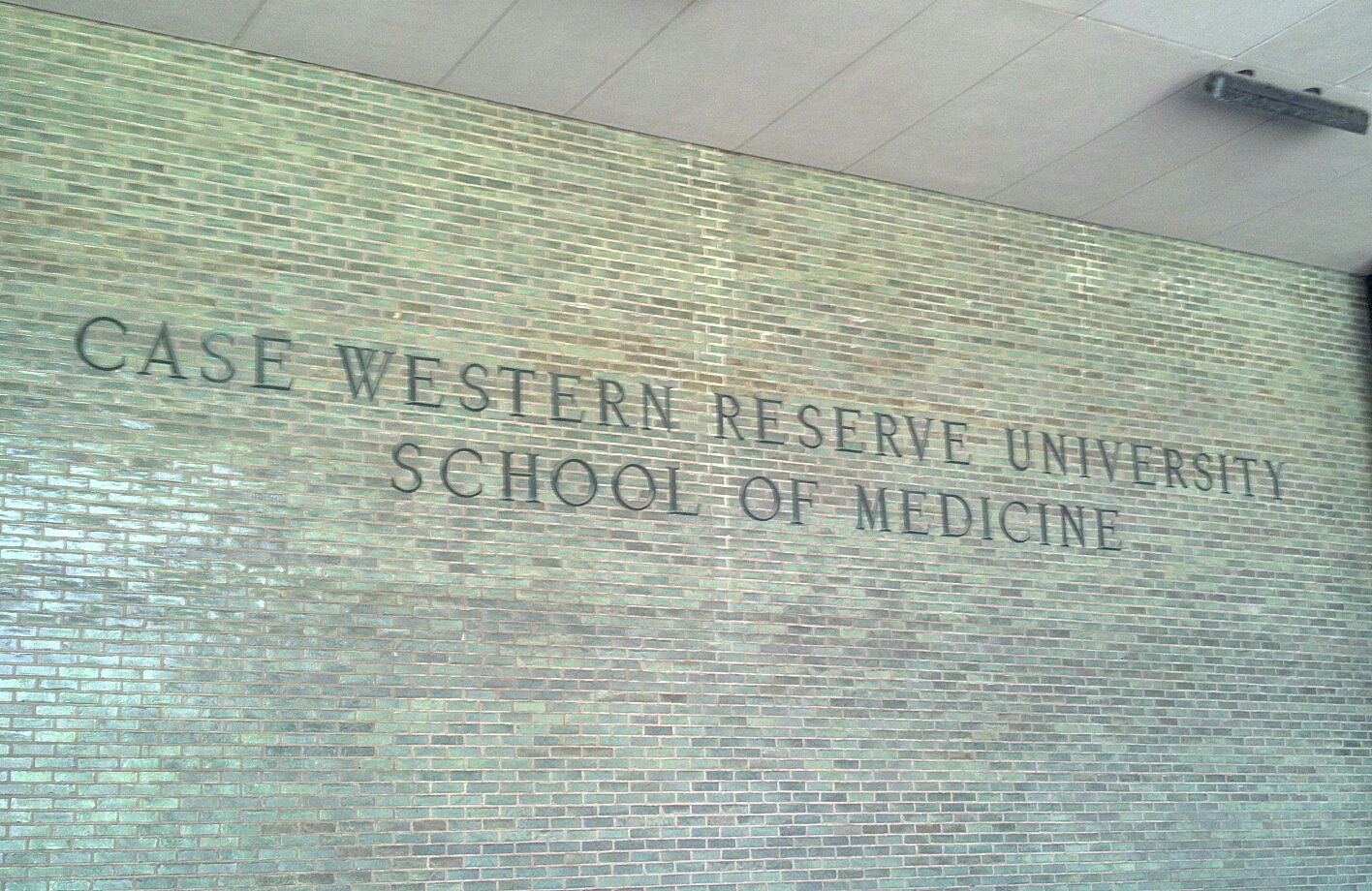 Why Medicine? (Part 2)