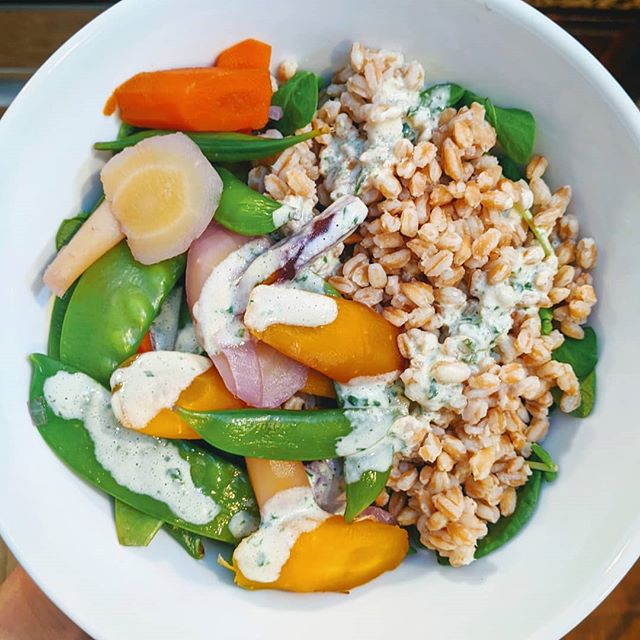 Farro Grain Bowl with Basil Tahini Dressing

I love taking a regular recipe and veganizing it
This one is inspired by the @foodandwine cover recipe last spring... And still a winner.

I start with a big bed of @organicgirl protein greens. Then farro 