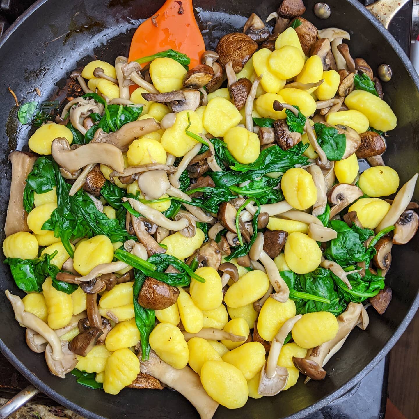 Mushrooms + 🥔 Gnocchi = Genius
😋
What are you having for dinner tonight?
I'm taking some inspiration from the new issue of #forksoverknivesmagazine with this one.
A fun selection of @mycopiamushrooms mushrooms: Trumpet, Nameko, and Cremini 🍄🍄🍄
P